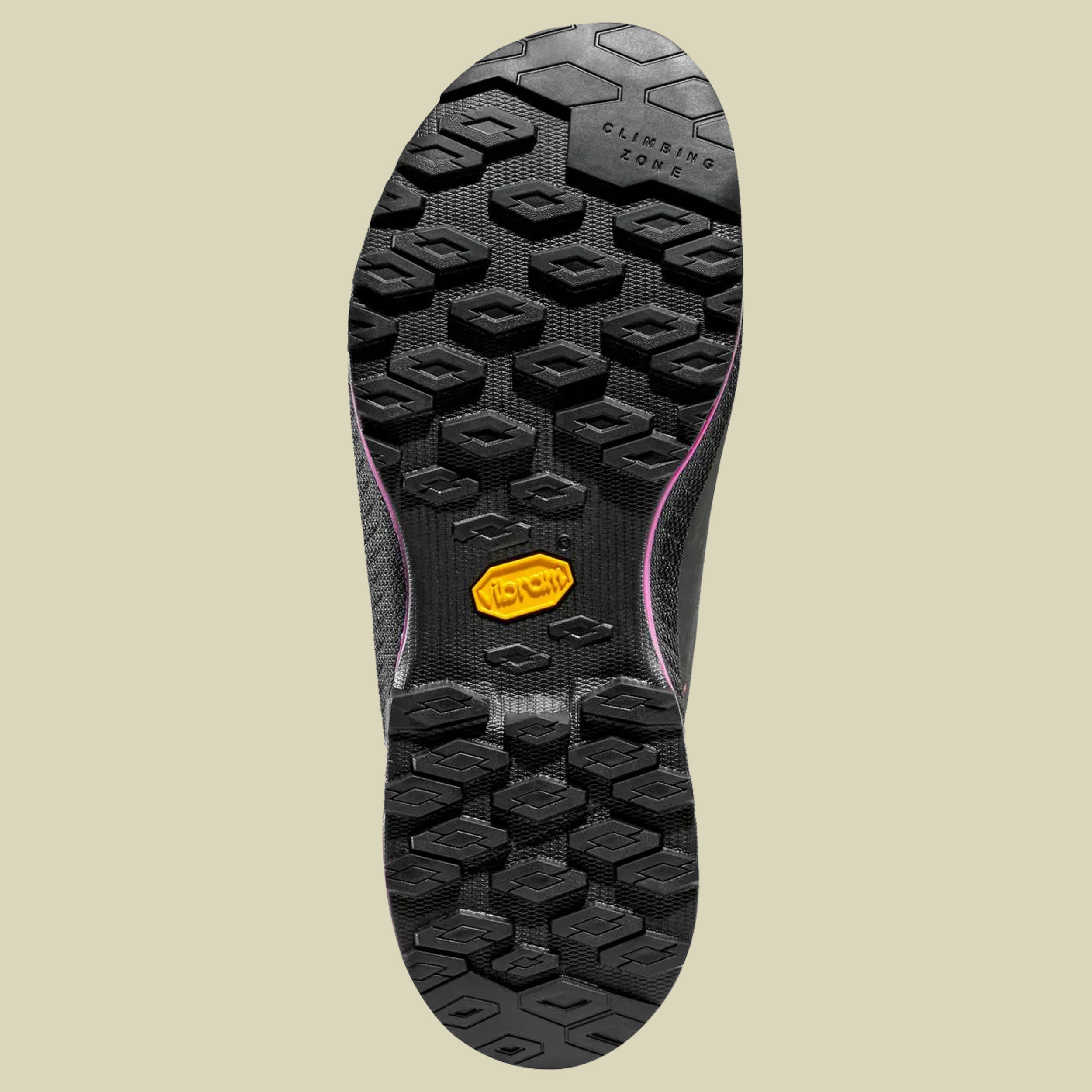 TX4 Evo GTX Women 38 grau - carbon/springtime