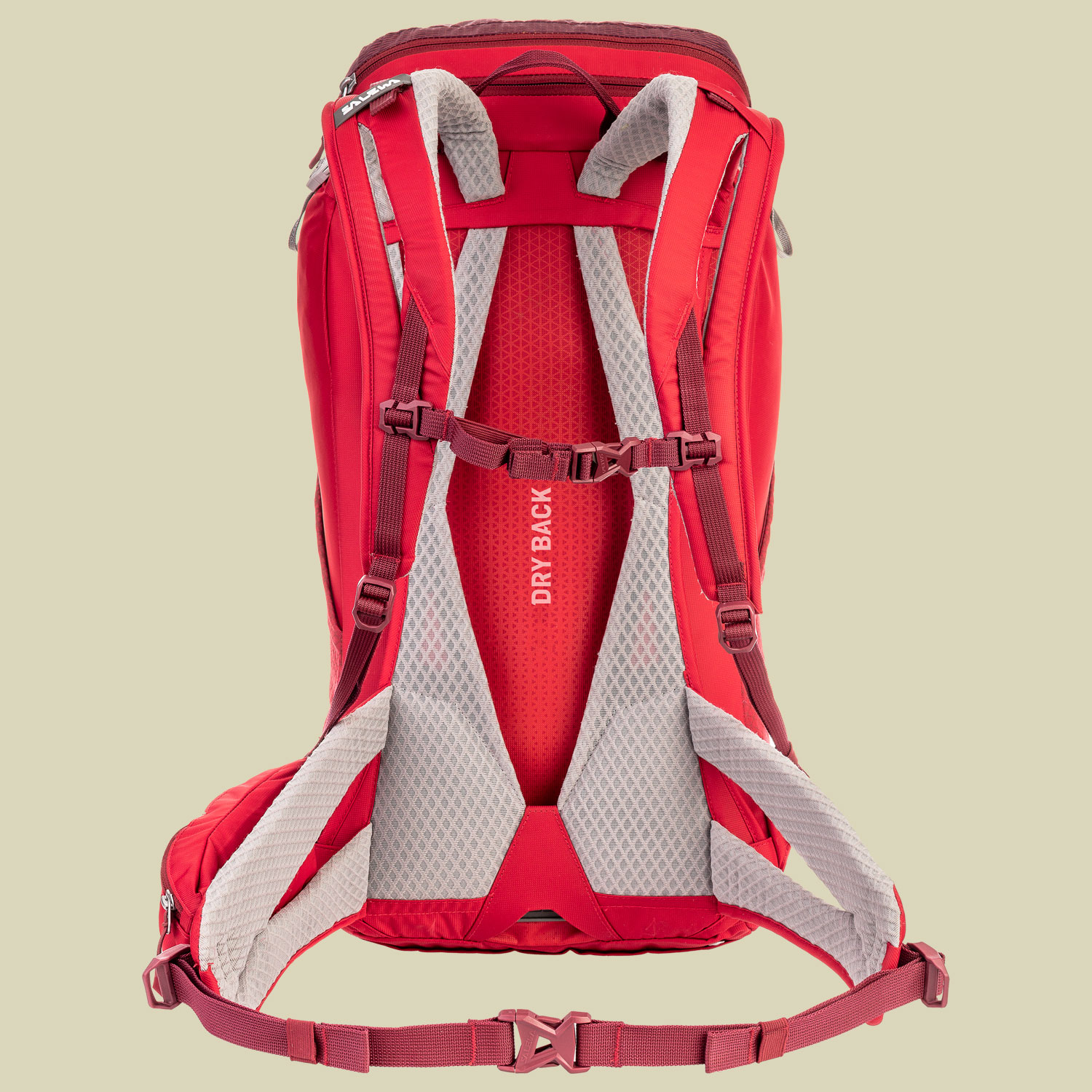 Alp Trainer 25