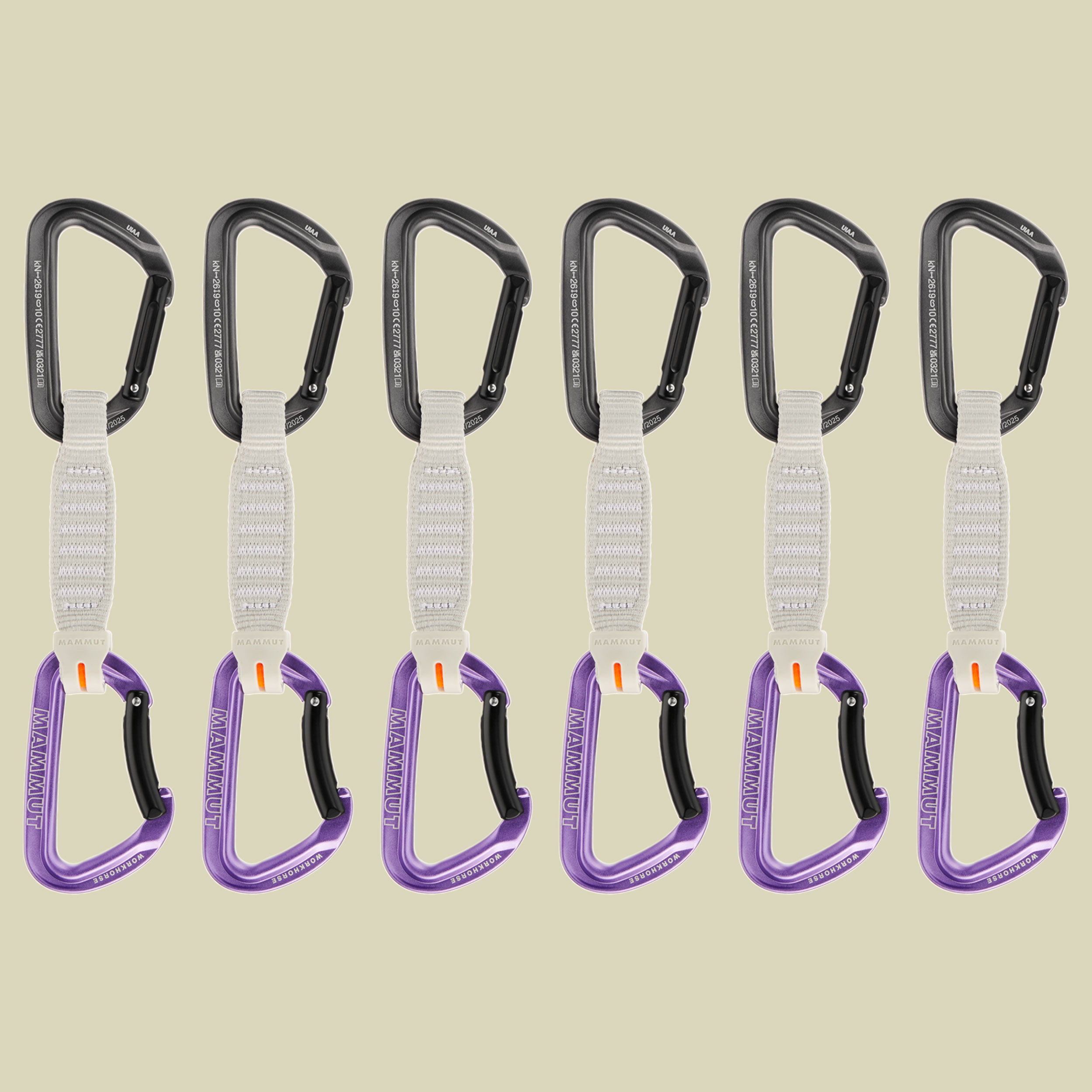 Workhorse Keylock 12 cm 6-Pack Quickdraws  Größe 12 cm straight gate/bent gate key lock - Farbe grey-alpine calamint