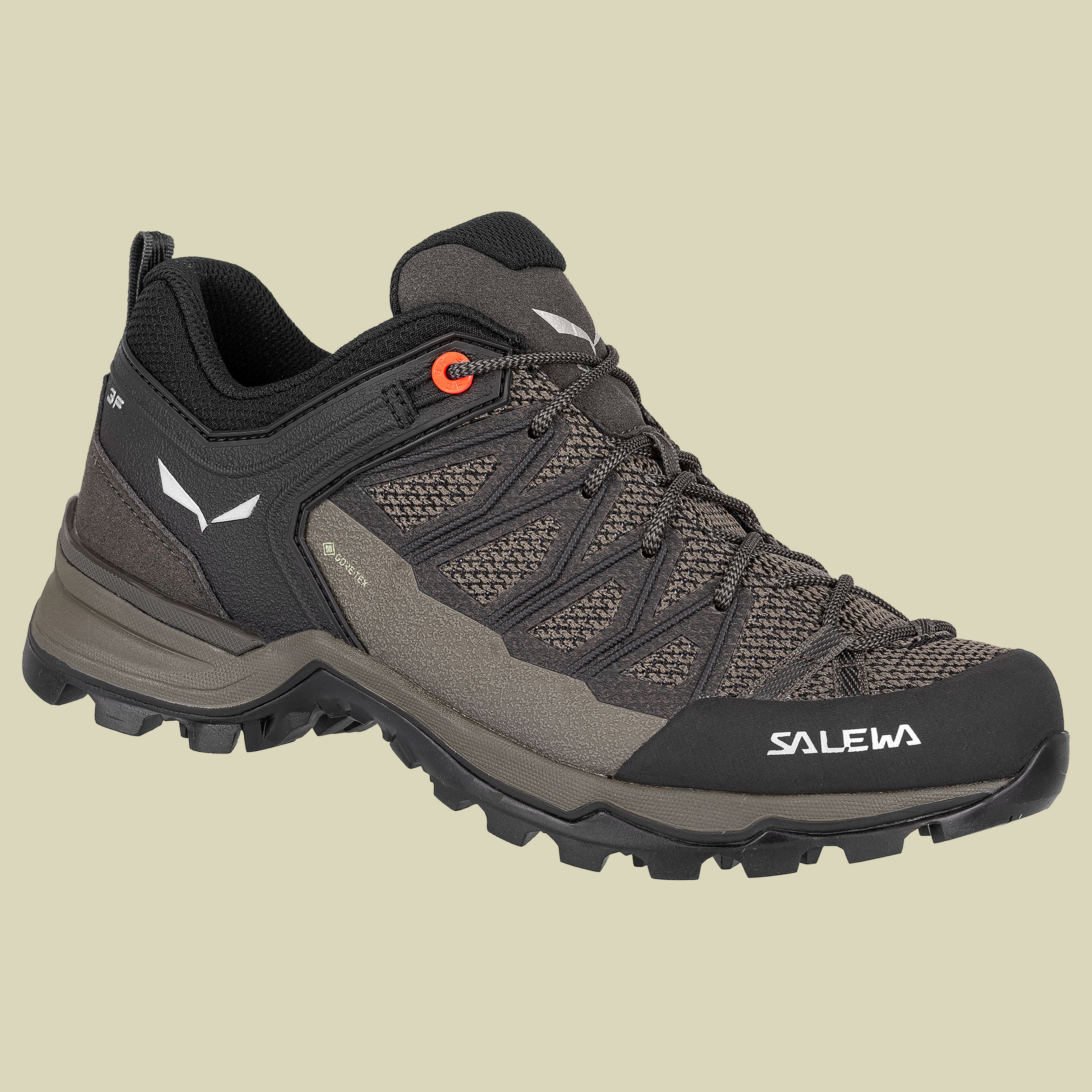 WS MTN Trainer Lite GTX