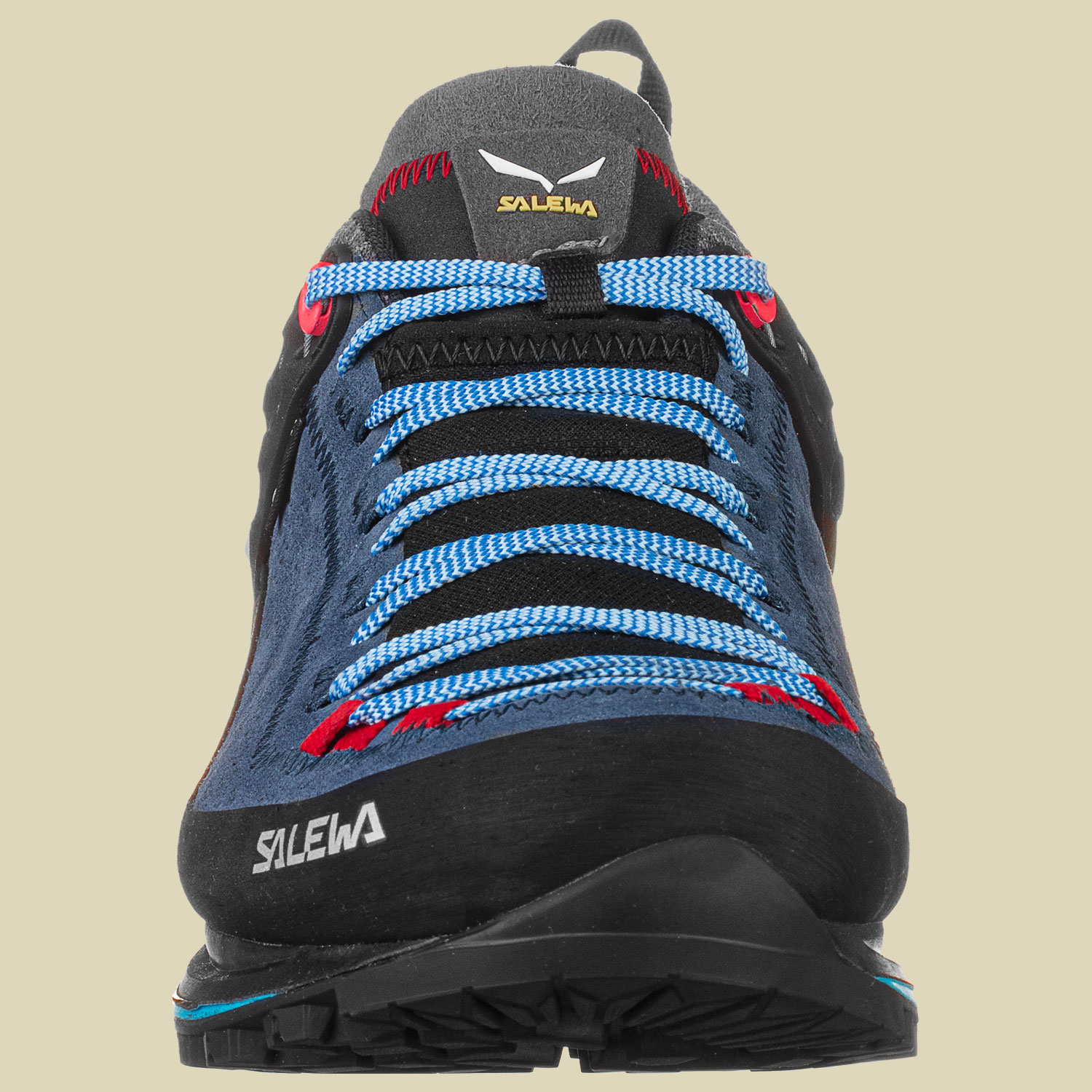 WS MTN Trainer 2 GTX Women