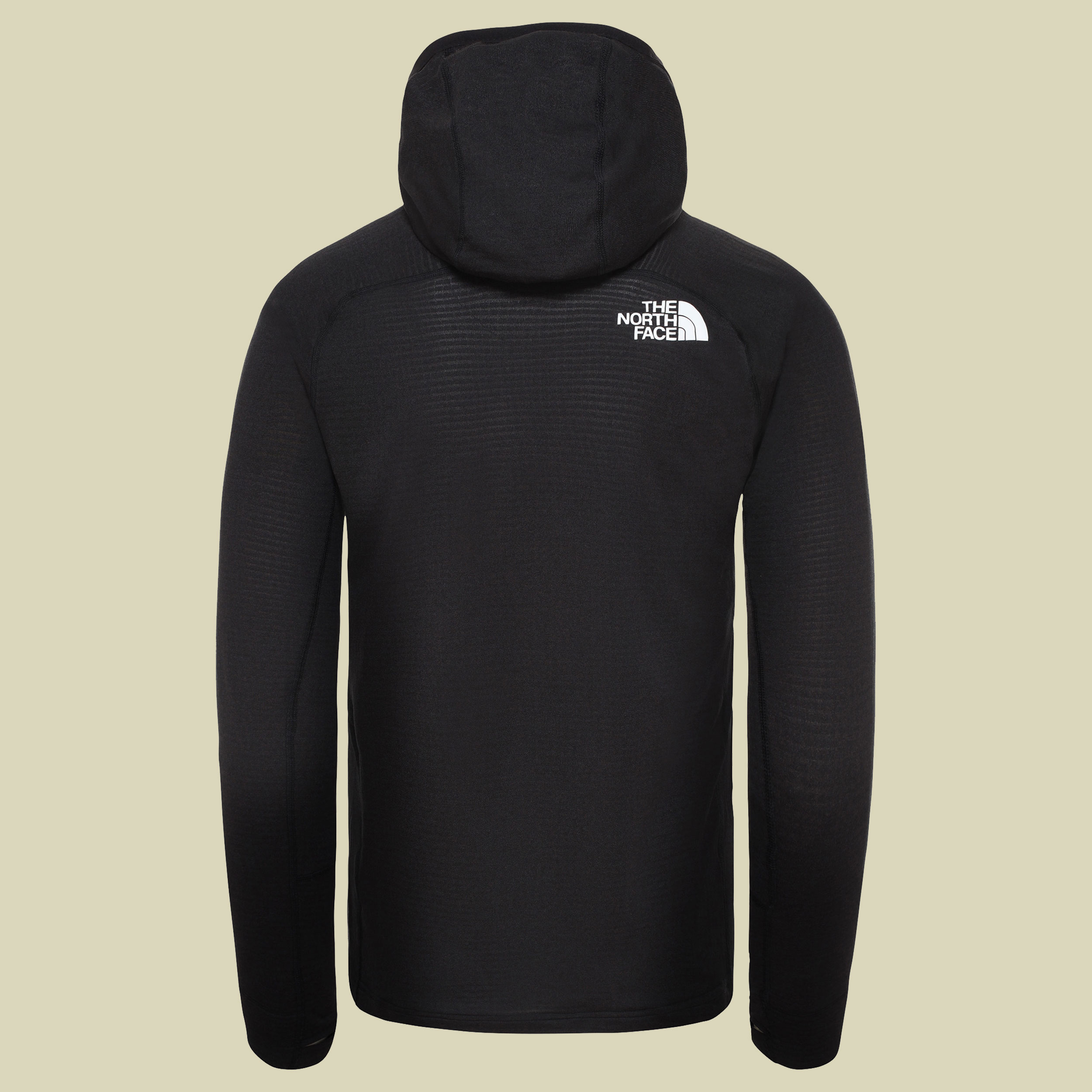 North face summit l2 power grid lt hoody best sale