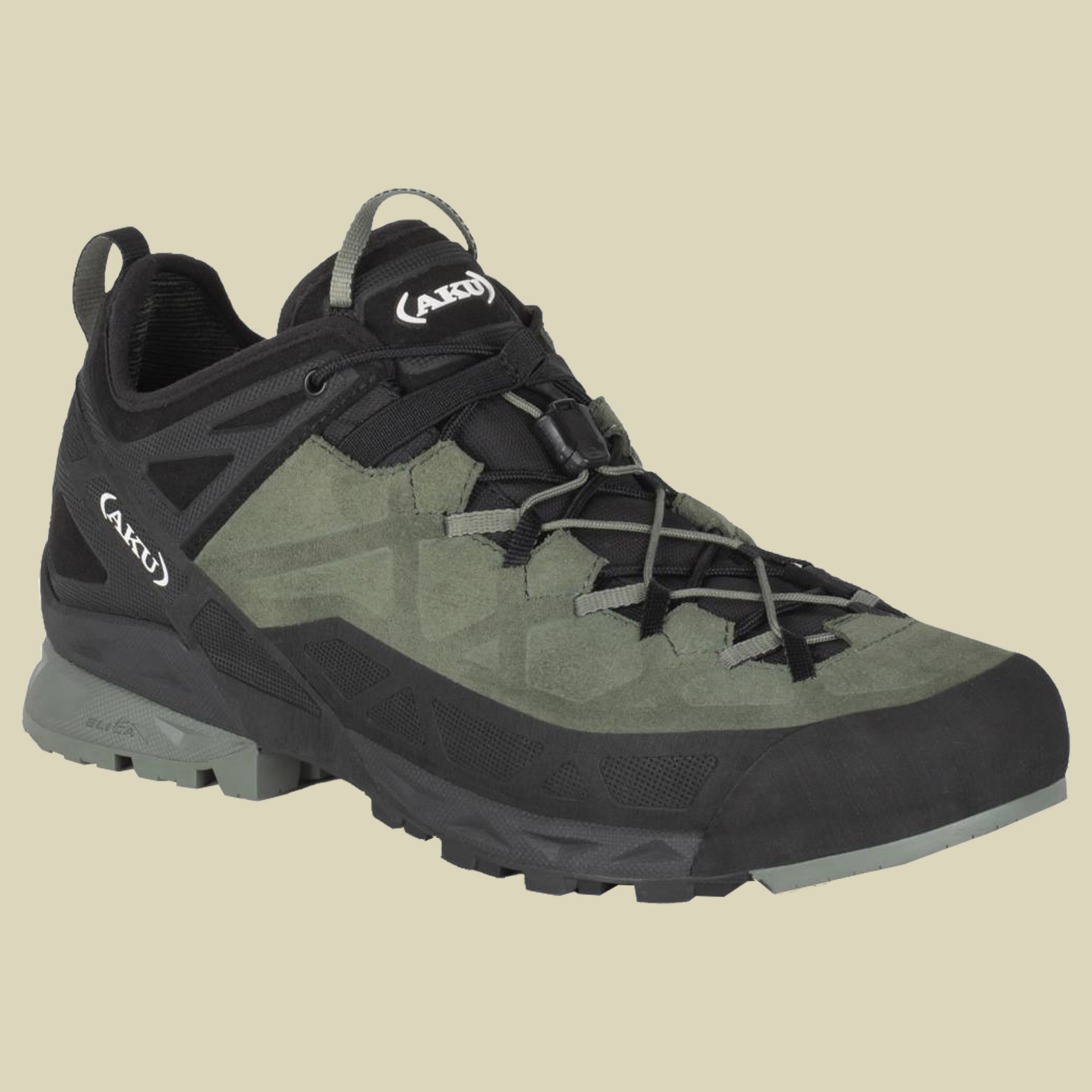 Rock DFS GTX Men