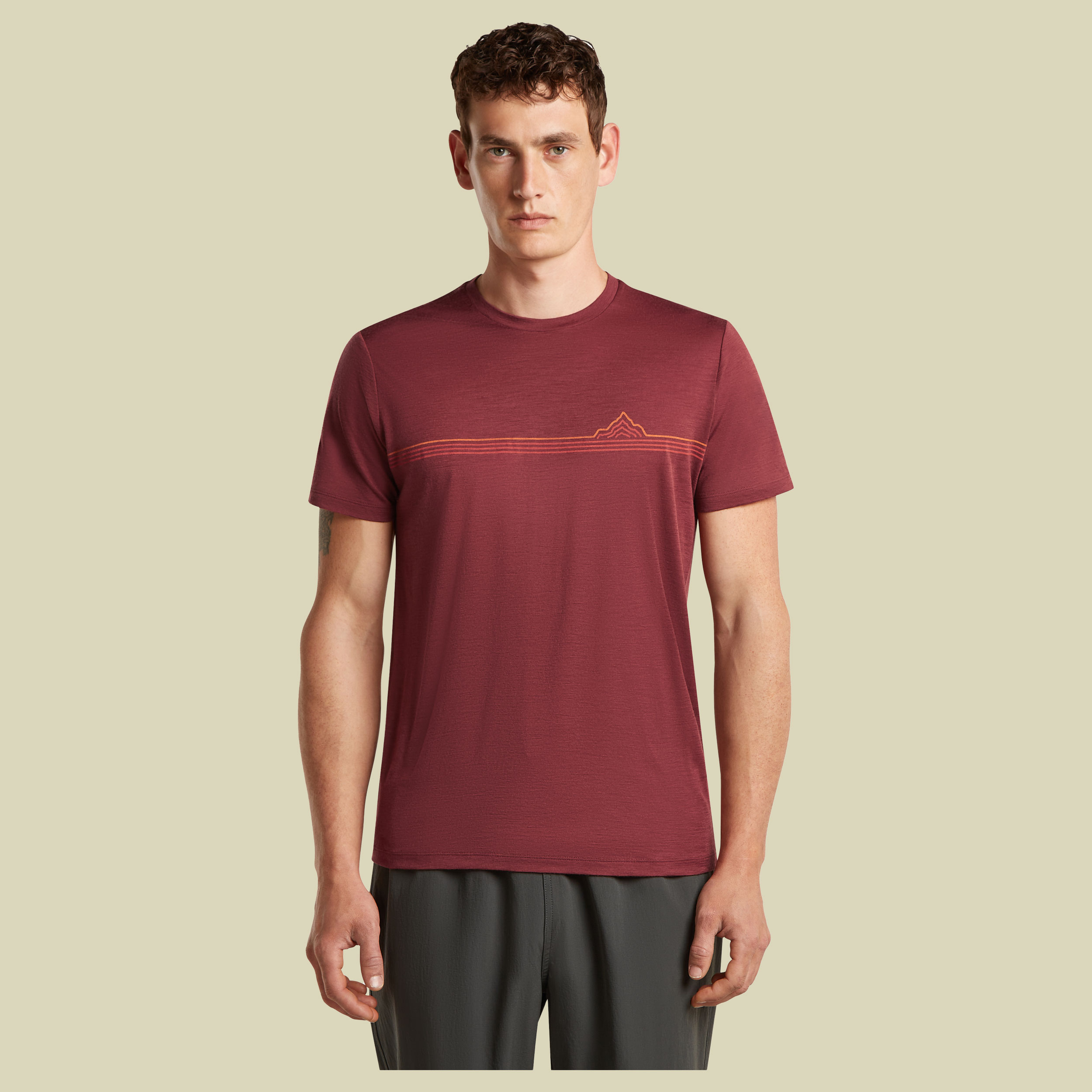 Merino 150 Tech Lite SS Tee Range Stripes Men XXL rot - port