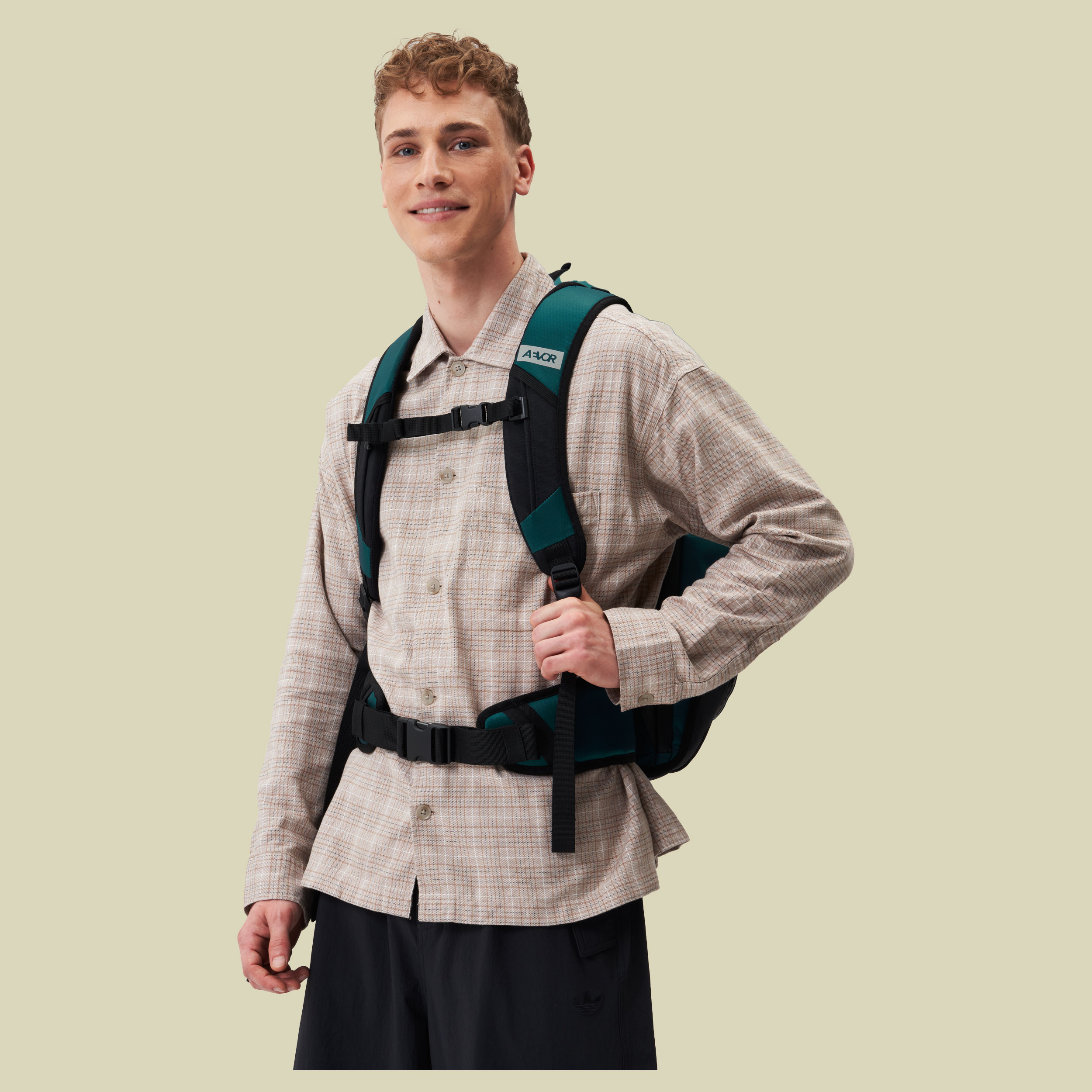 Aevor Travel Pack Proof grün 38 - proof evergreen