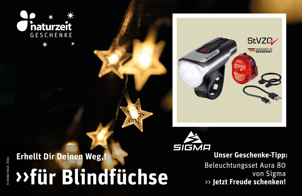 Geschenkidee - Sigma Lampe