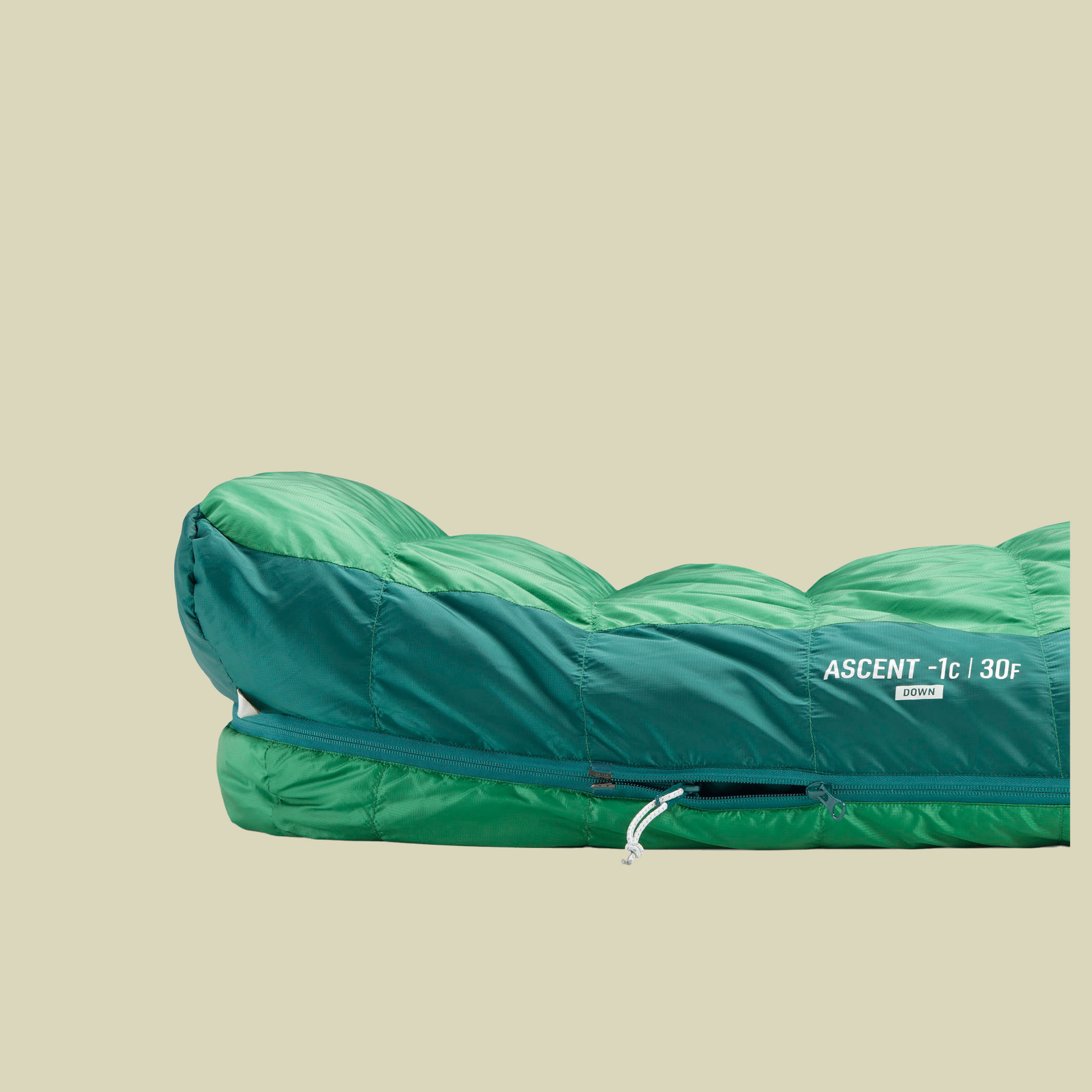 Ascent Down Sleeping Bag -1C grün regular 185 cm - Farbe rain forest