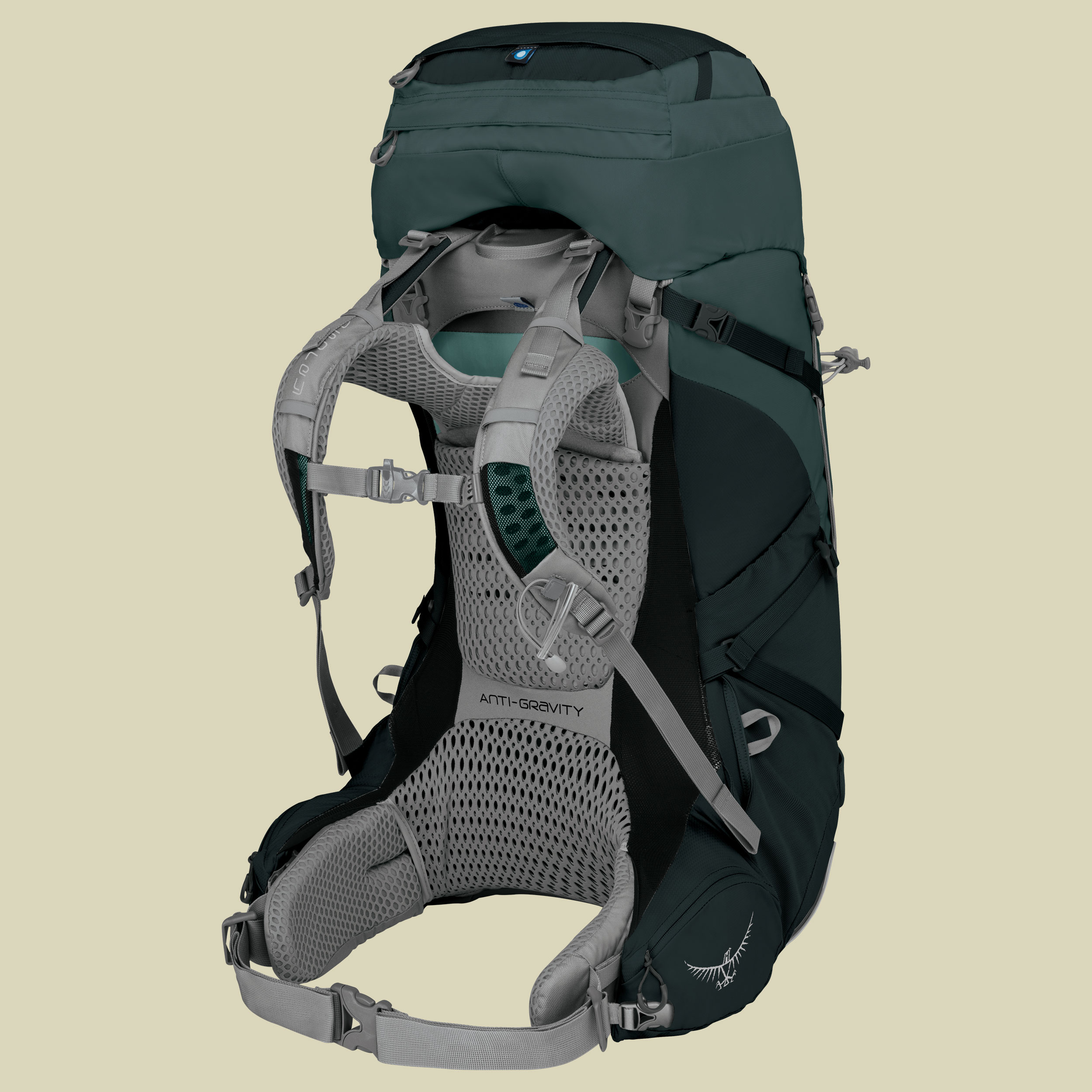 Ariel AG 65 Women Volumen 62 (WS) Farbe boothbay grey