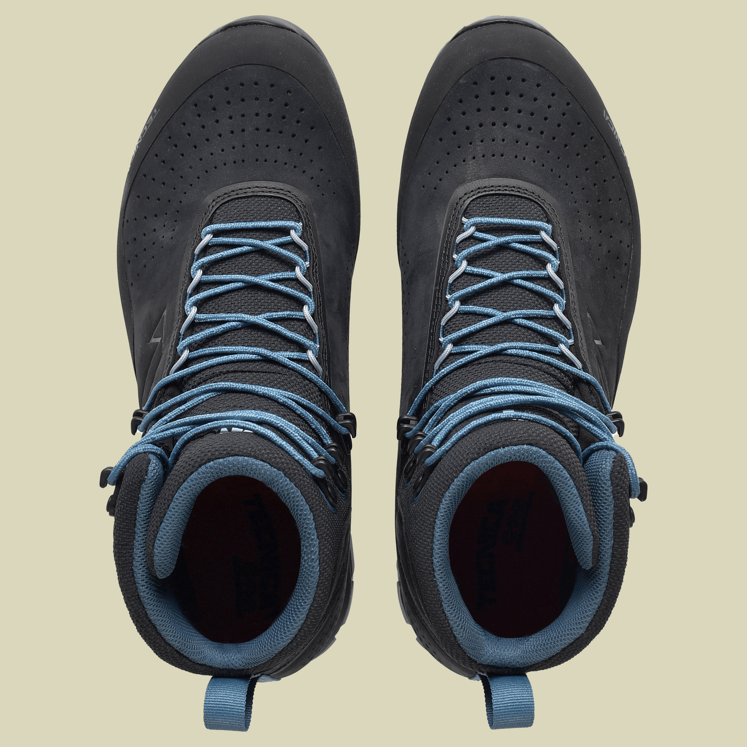 Forge GTX Women Größe UK 4,5 Farbe night fiume-rich lago
