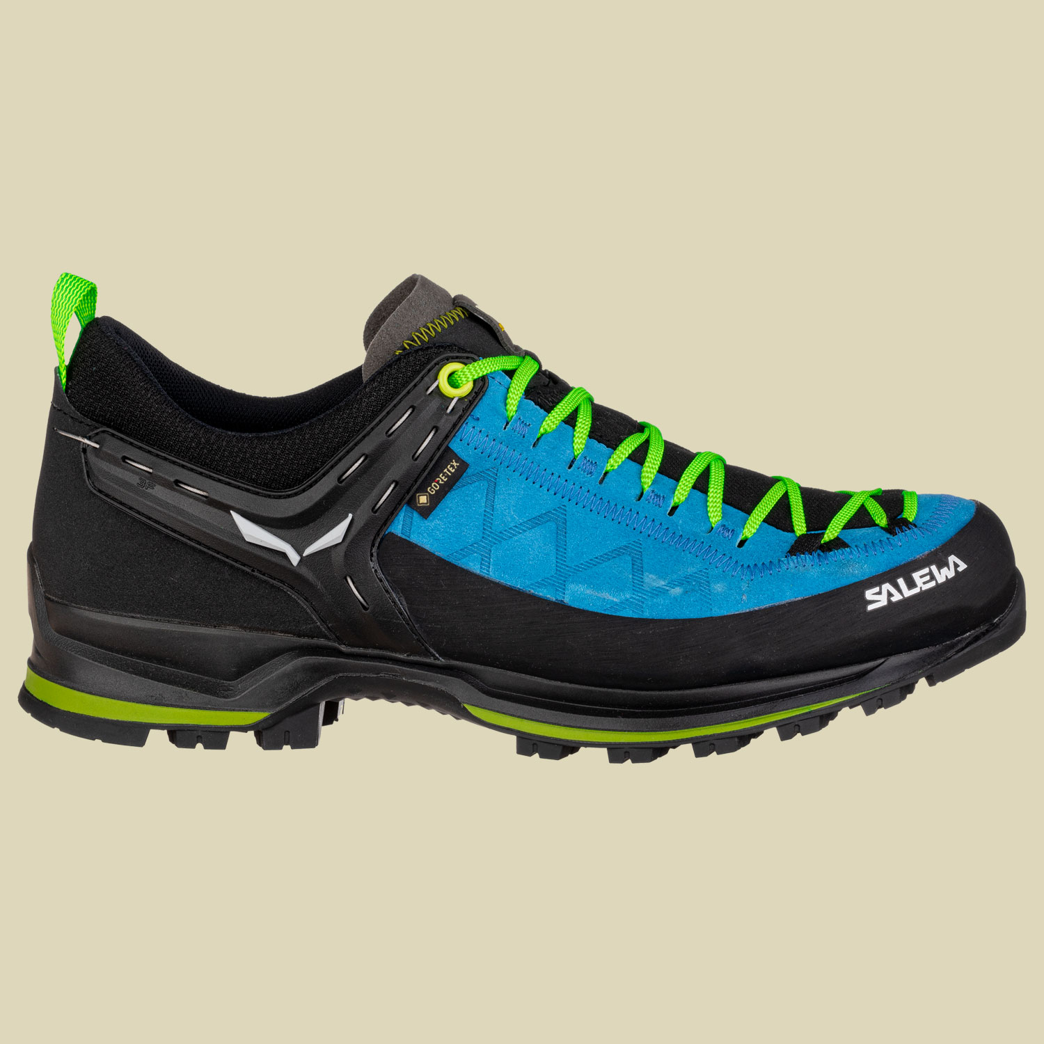 MS MTN Trainer 2 GTX Men