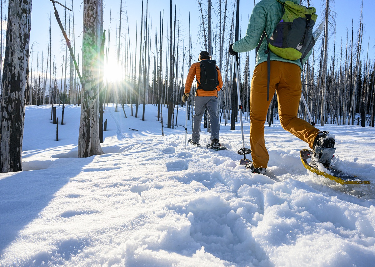 Schneeschuh-Rundtour - Vom Rinken zum Feldberg