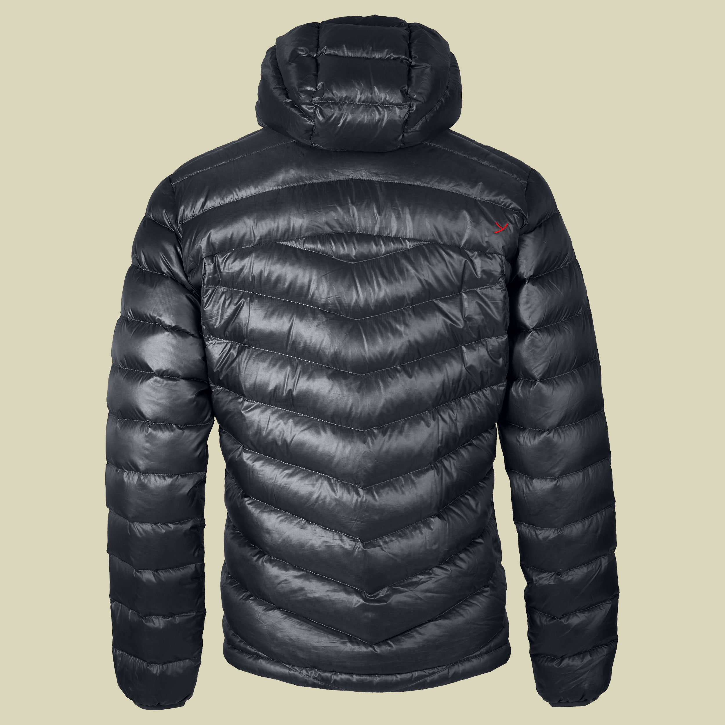 Payne Hooded Down Jacket Men