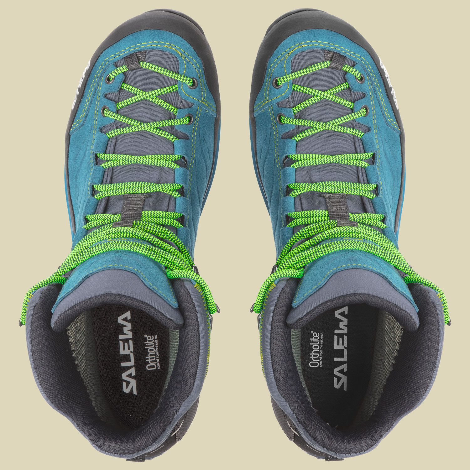 MS MTN Trainer Mid GTX Men