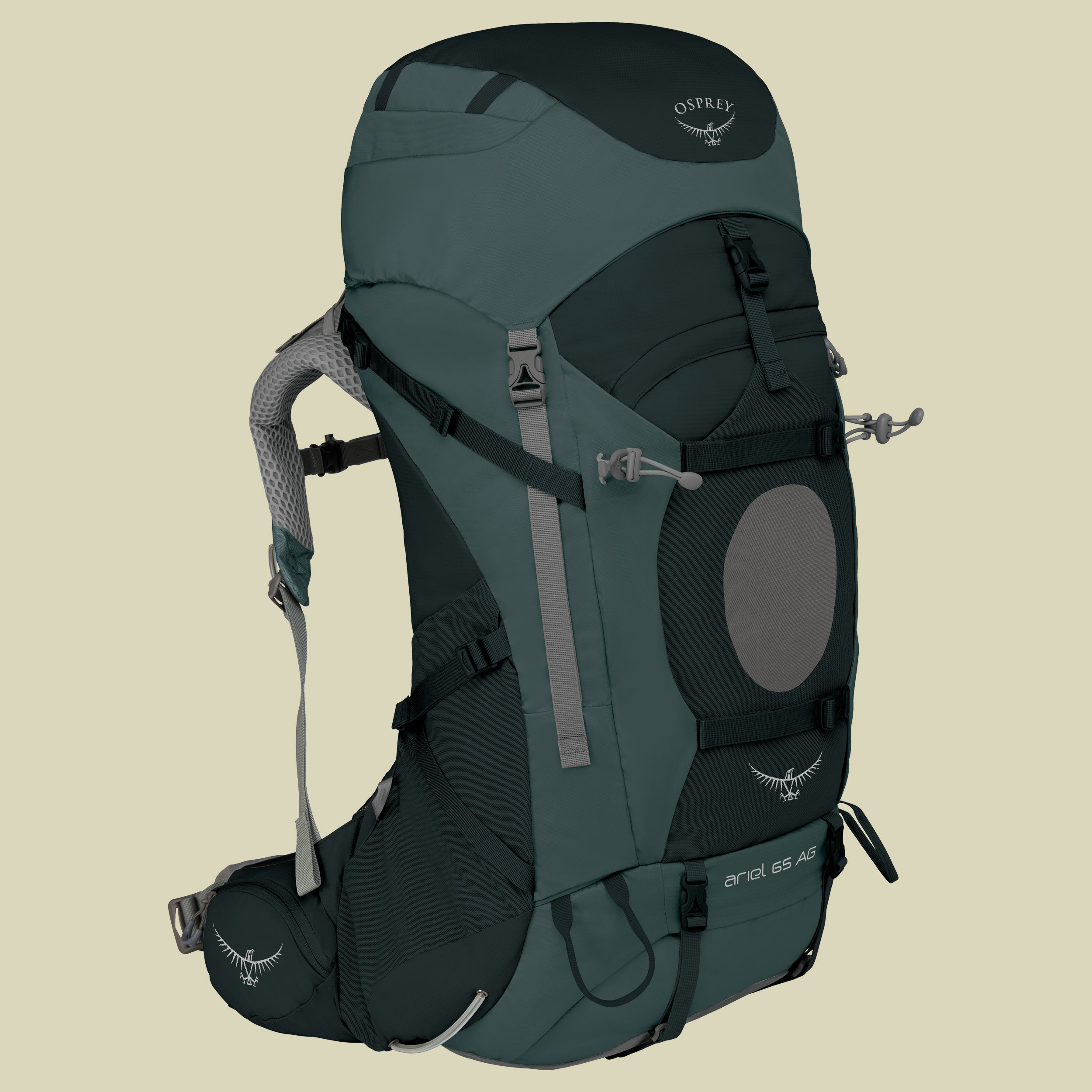 Ariel AG 65 Women Volumen 65 (WM) Farbe boothbay grey
