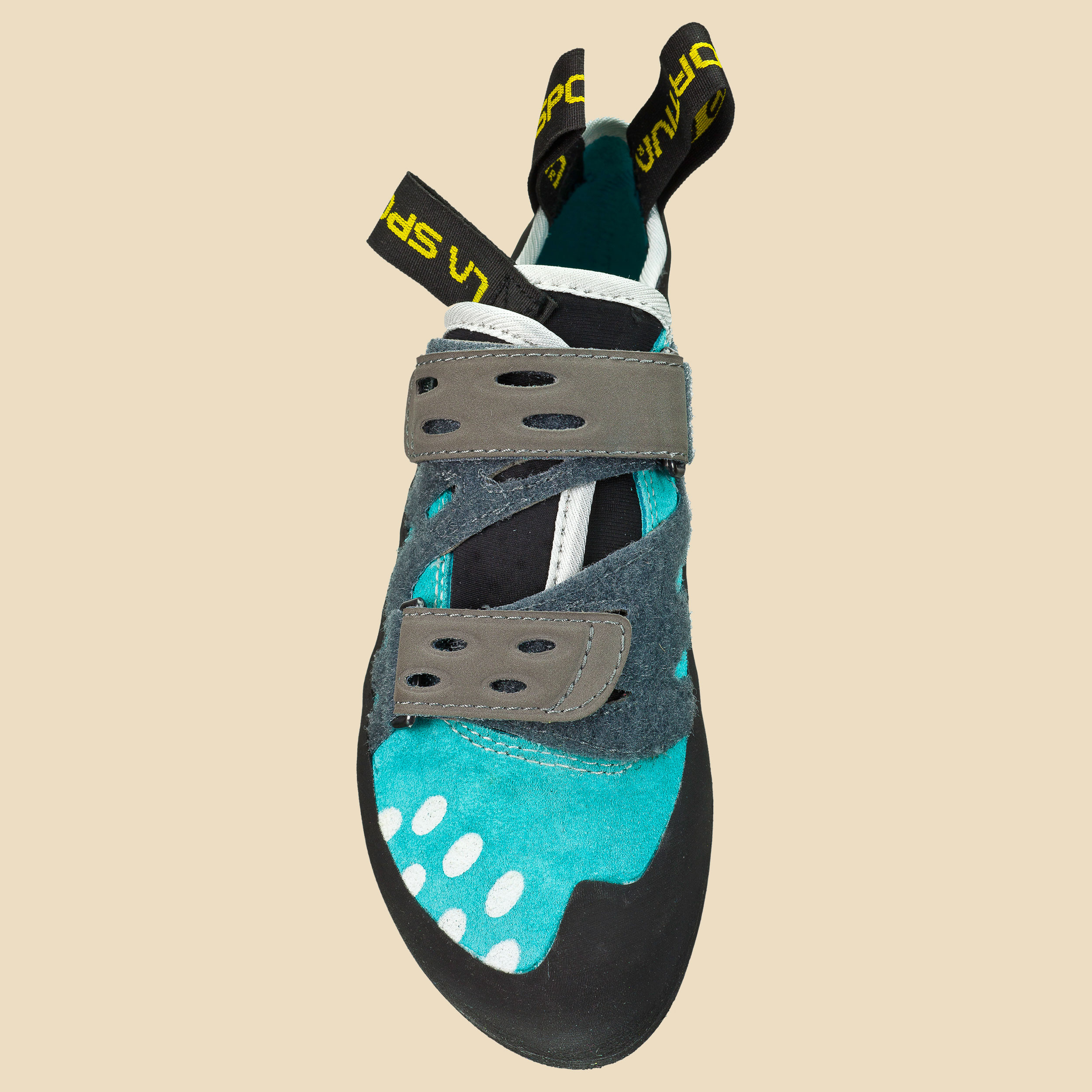 Tarantula Women turquoise 36