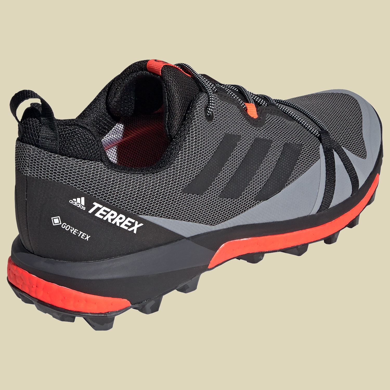 Terrex Skychaser LT GTX Men