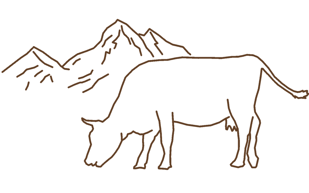 Meindl Identity Herstellung - Kuh Zeichnung