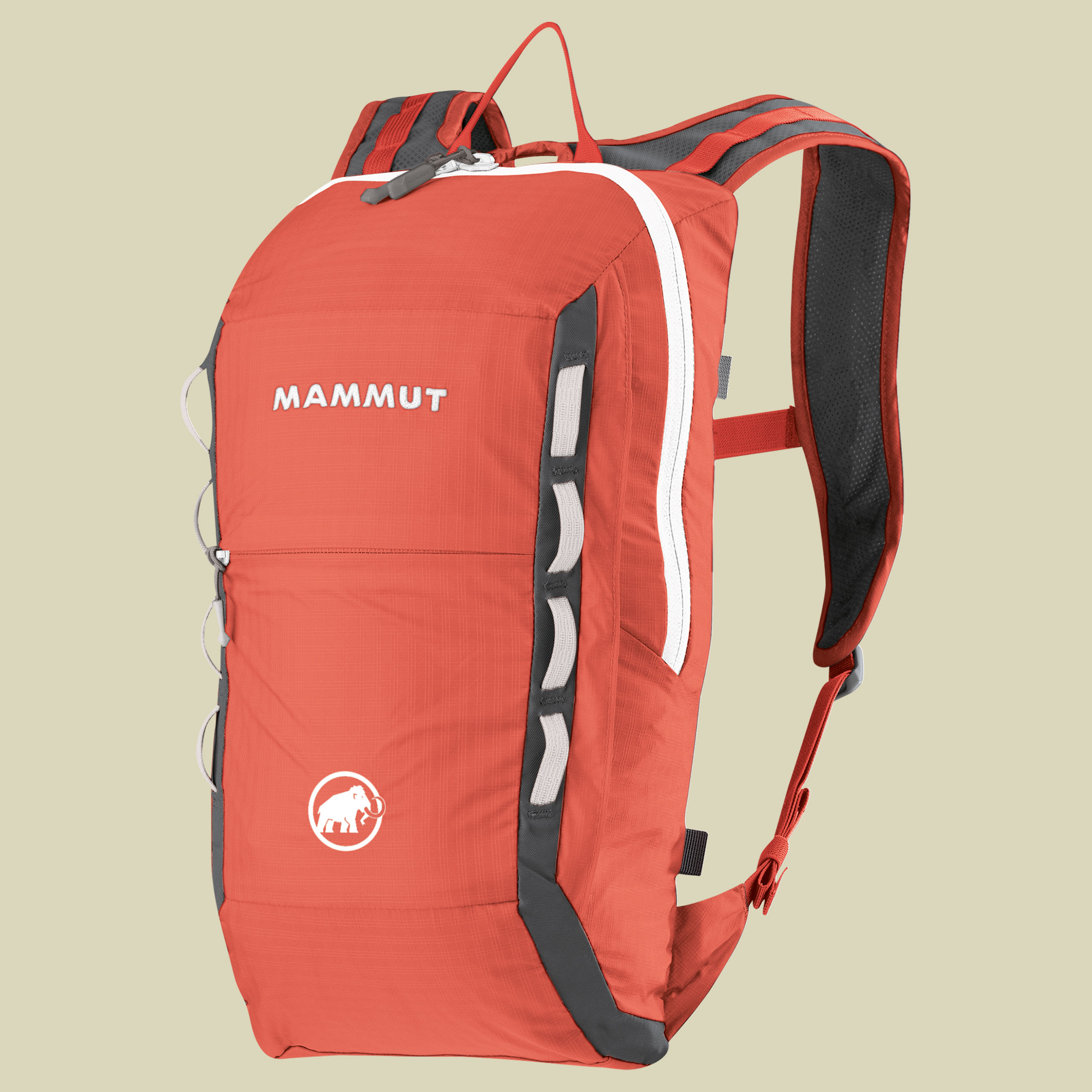 Neon Light Volumen 12 Farbe barberry