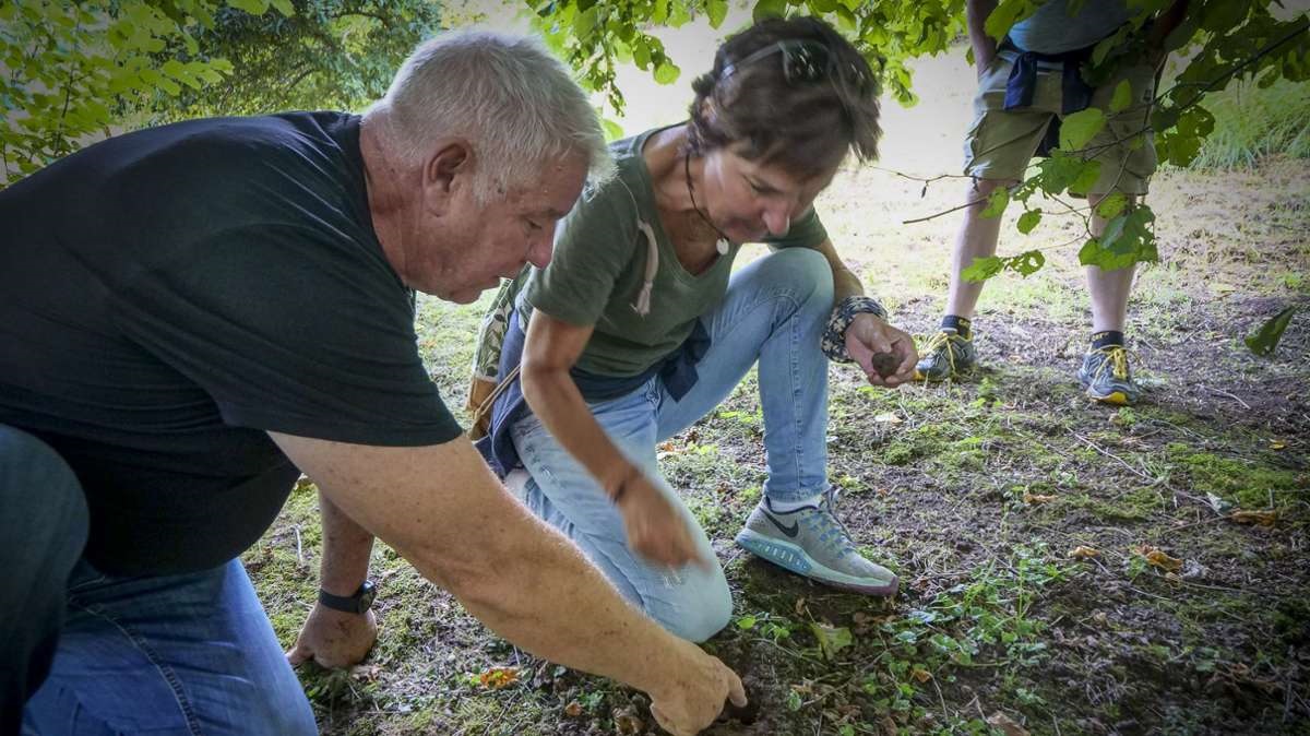 Genusswanderung - Etzlenswenden