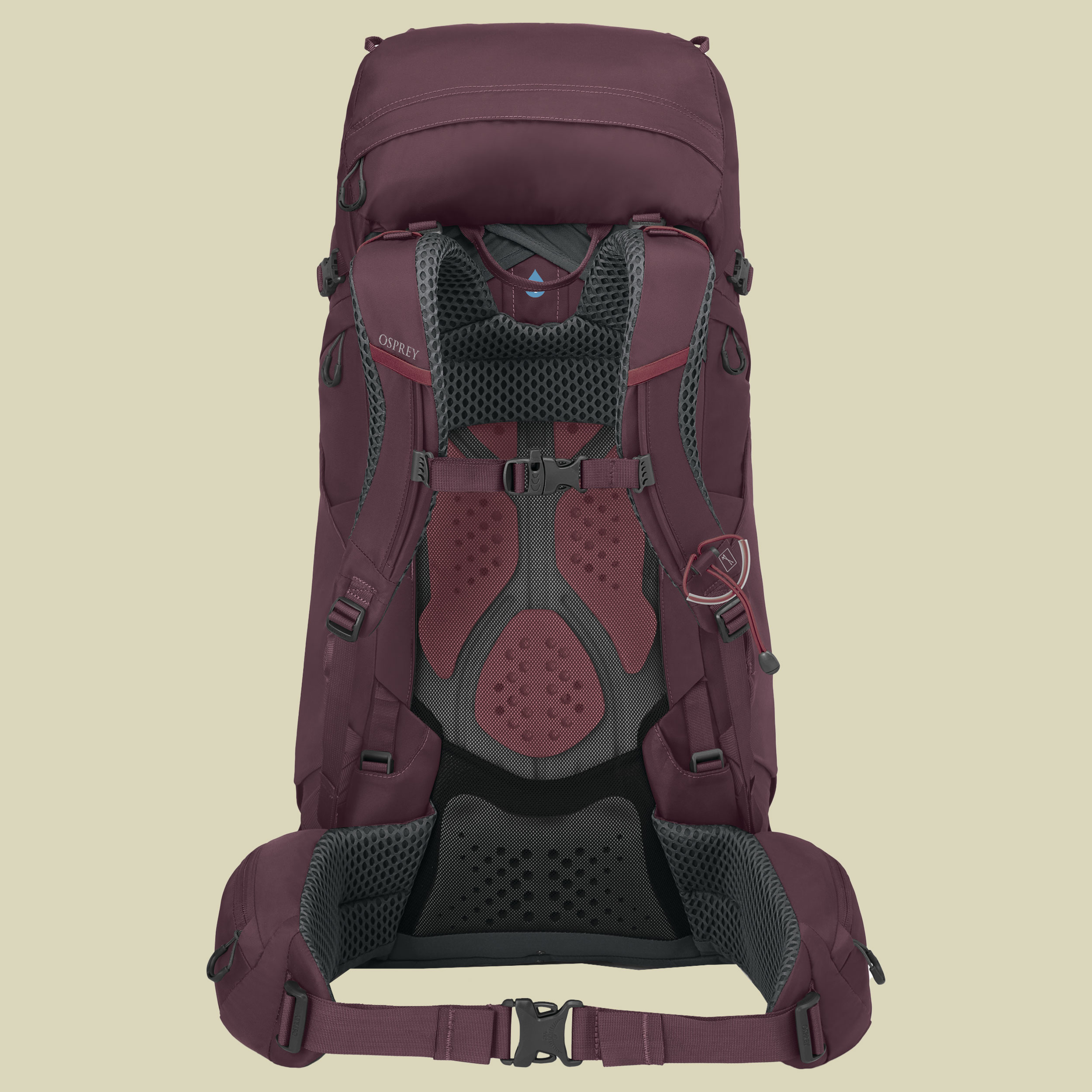 Kyte 48 lila WM/L Farbe elderberry purple