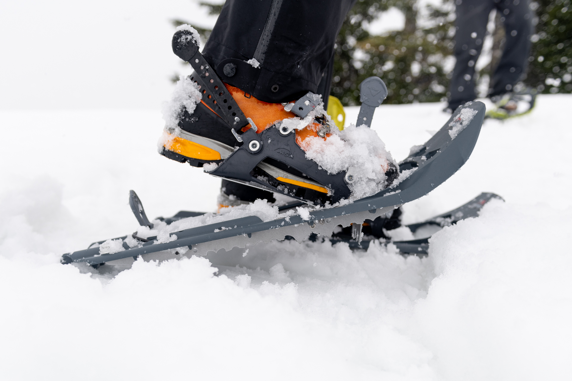 Schneeschuhe im Einsatz