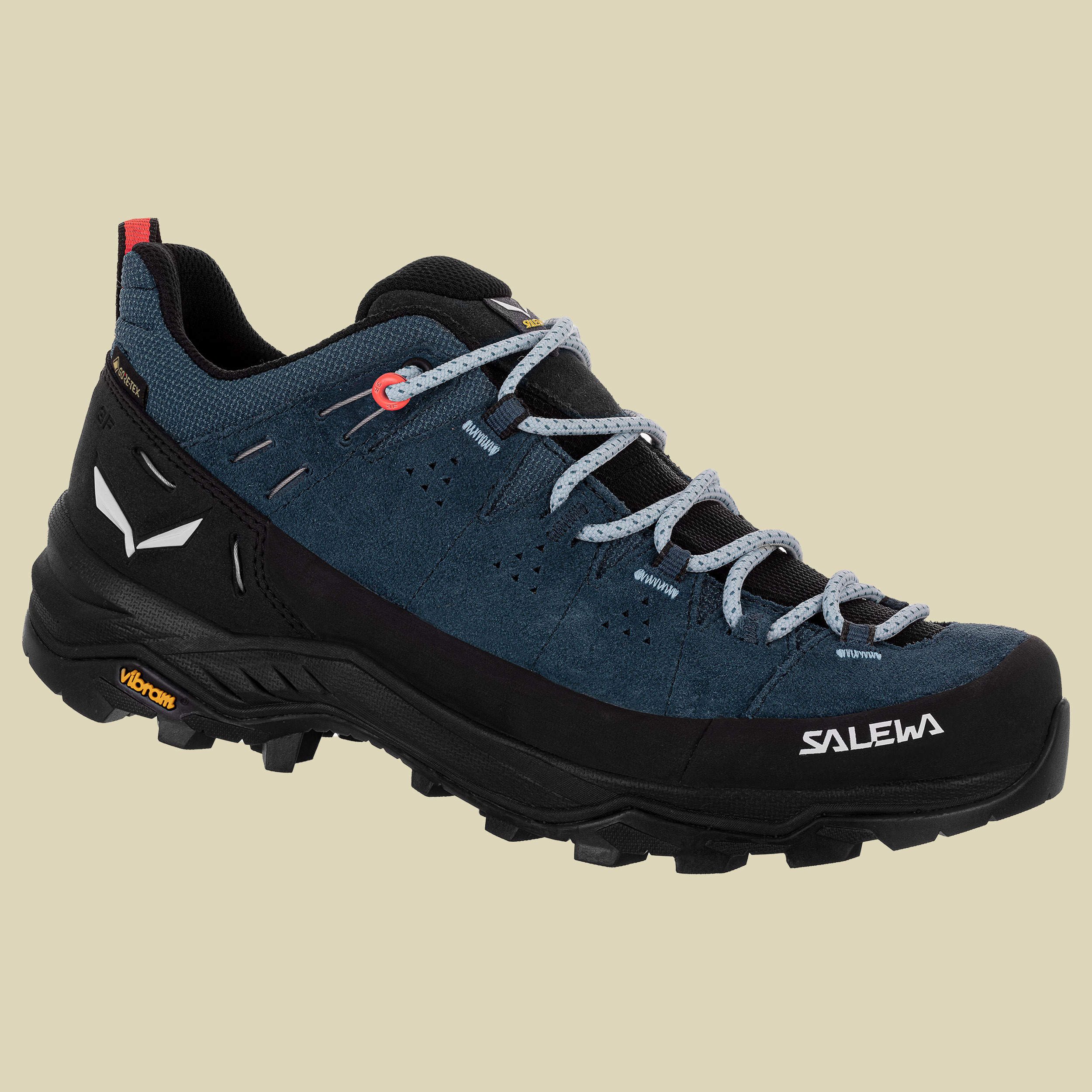 Alp Trainer 2 GTX Women