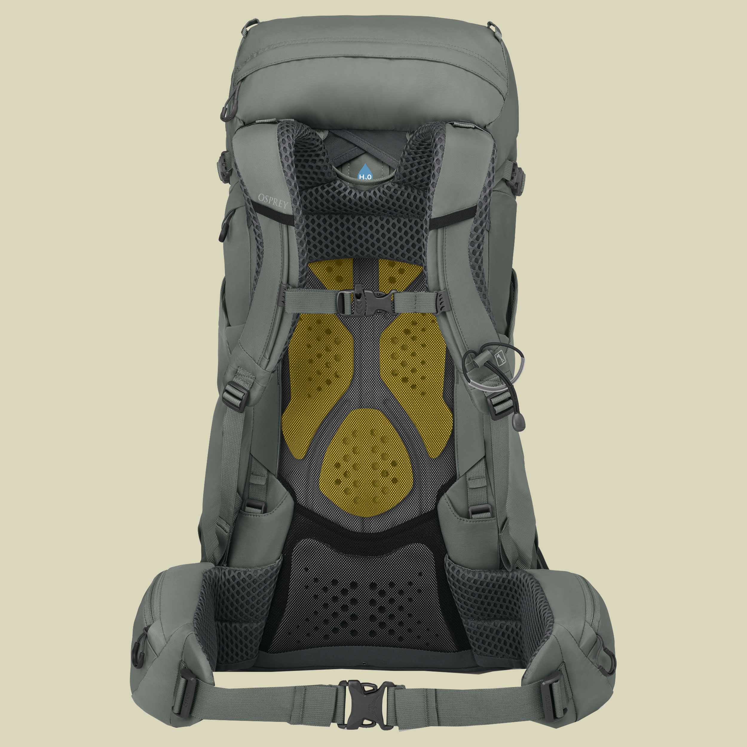 Kyte 38