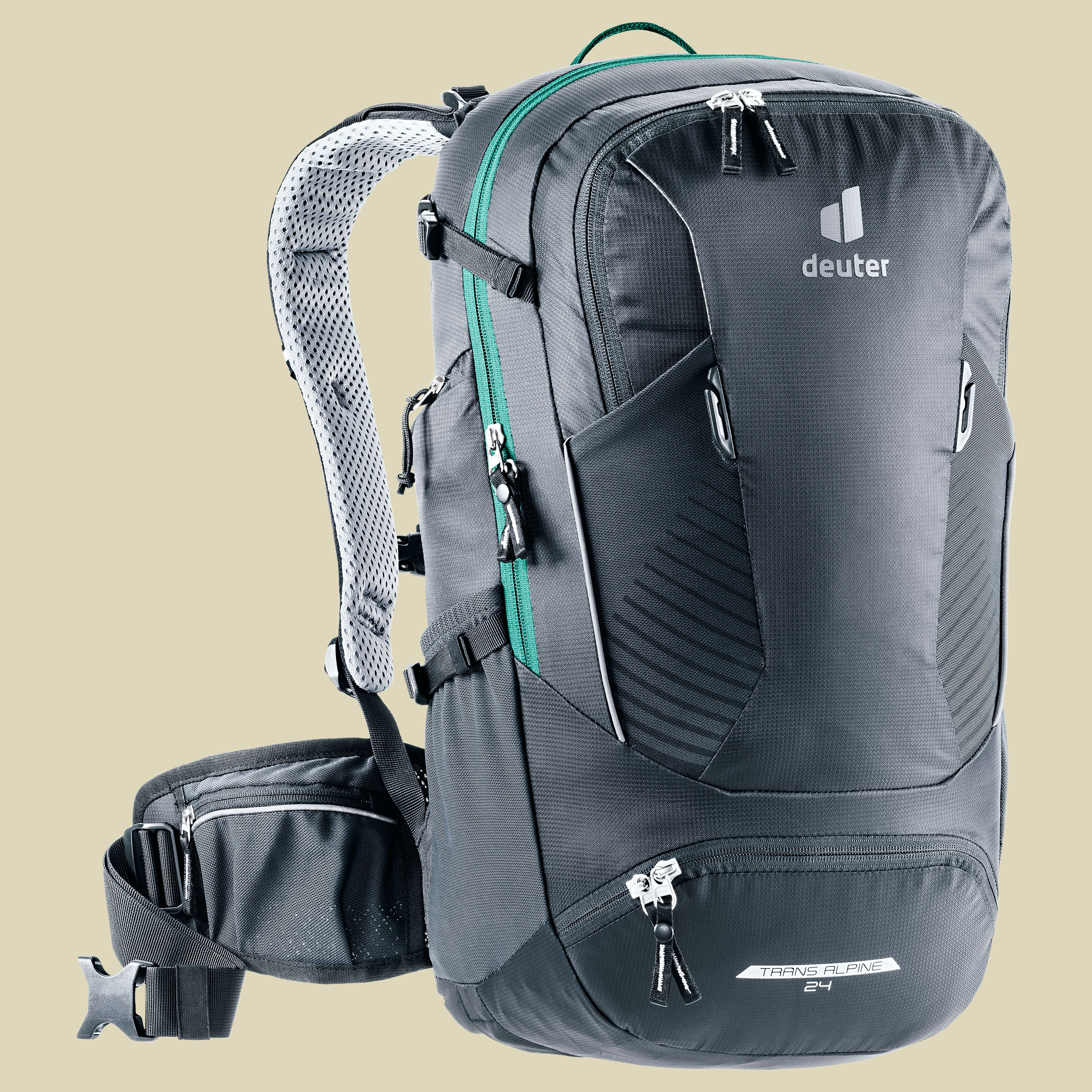 Trans Alpine 24