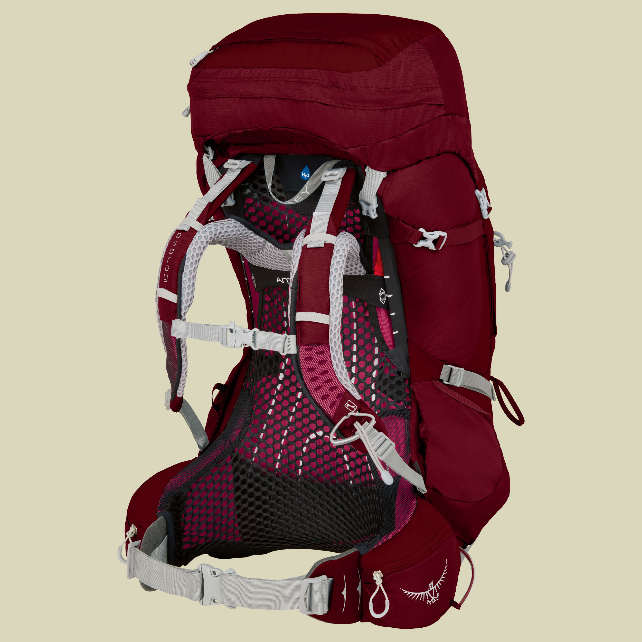 Aura AG 65 Women Volumen 62 (WS) Farbe gamma red