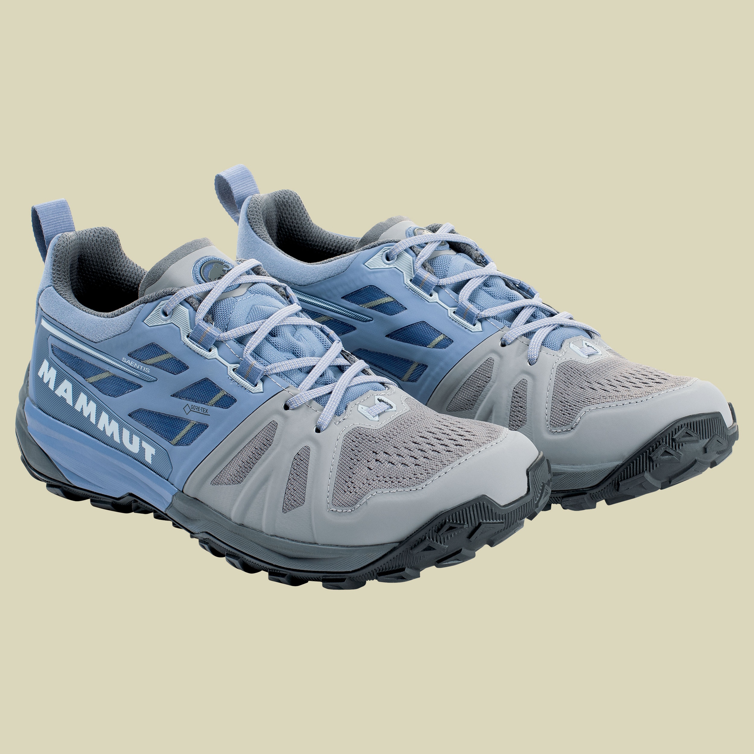 Saentis Low GTX Women Größe UK 7,5  Farbe light titanium-dark zen