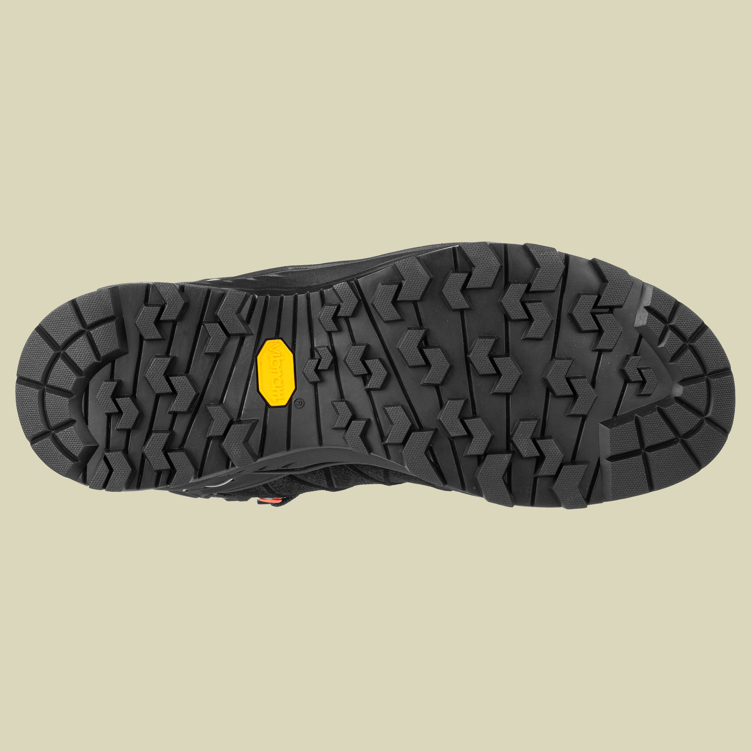WS Alp Trainer 2 MID GTX Women black/black UK 8