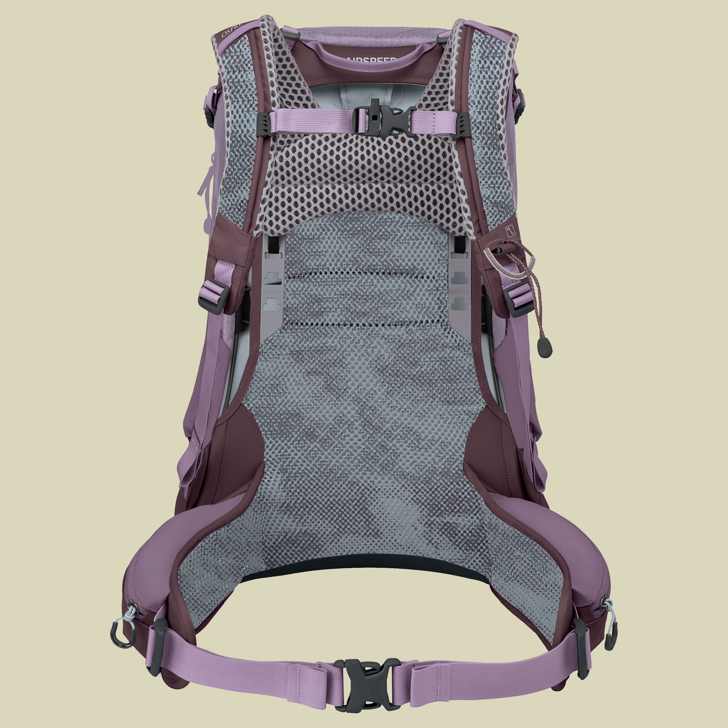 Sirrus 24 Women 24 lila - purple dusk