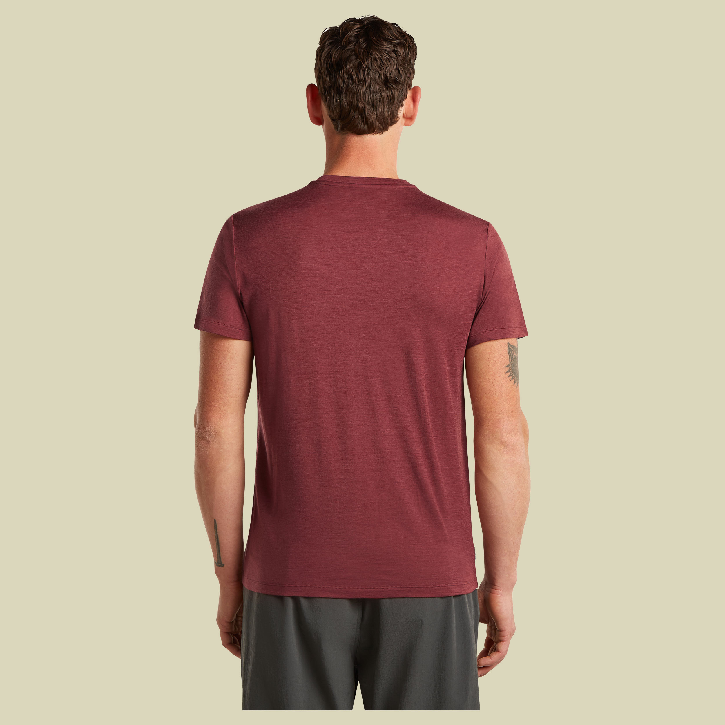 Merino 150 Tech Lite SS Tee Range Stripes Men XXL rot - port