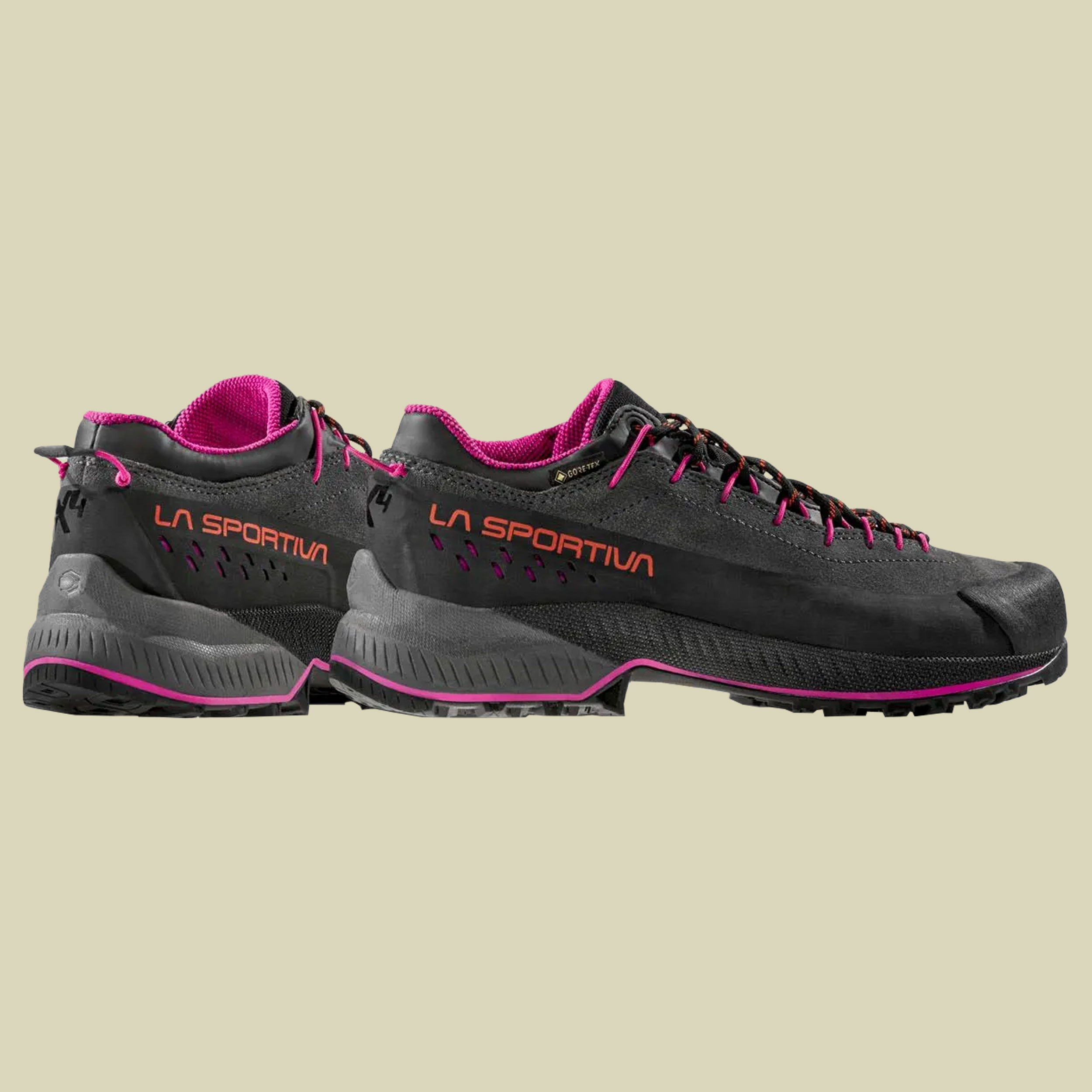 TX4 Evo GTX Women 38 grau - carbon/springtime