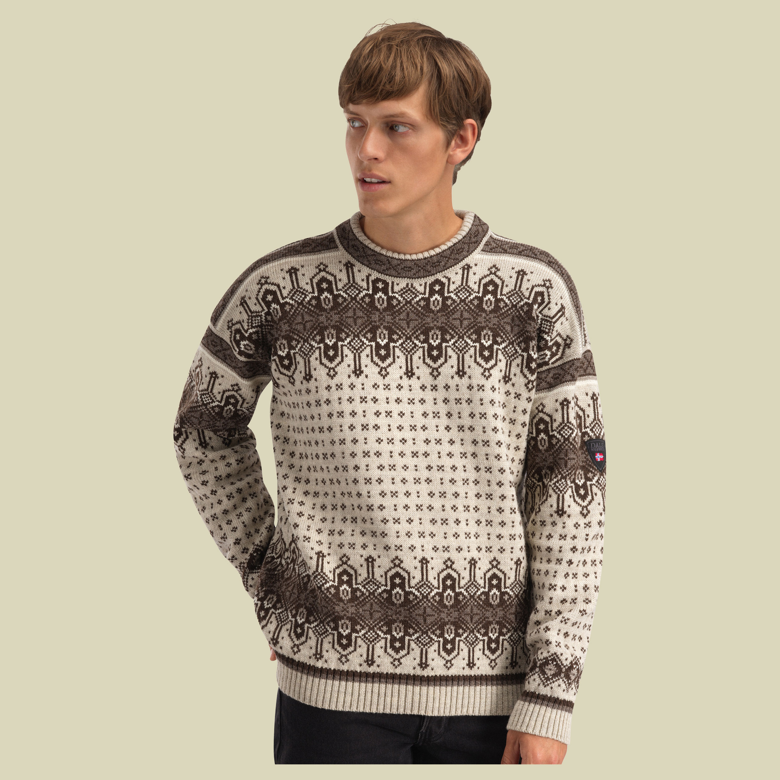 Albertville Masc. Sweater Men XL braun - birch coffee