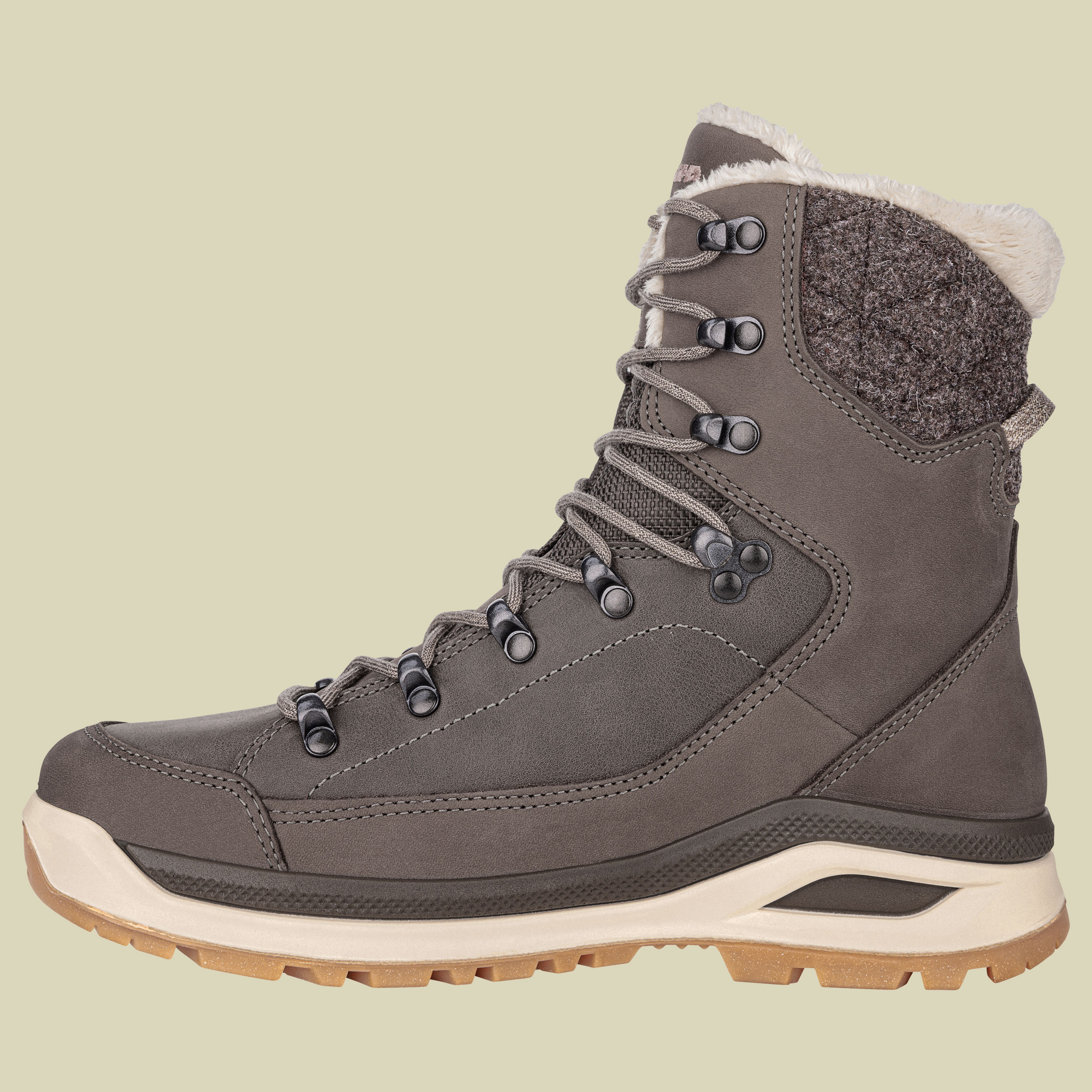 Renegade Evo Ice GTX Women UK 6 braun - stein/champagner