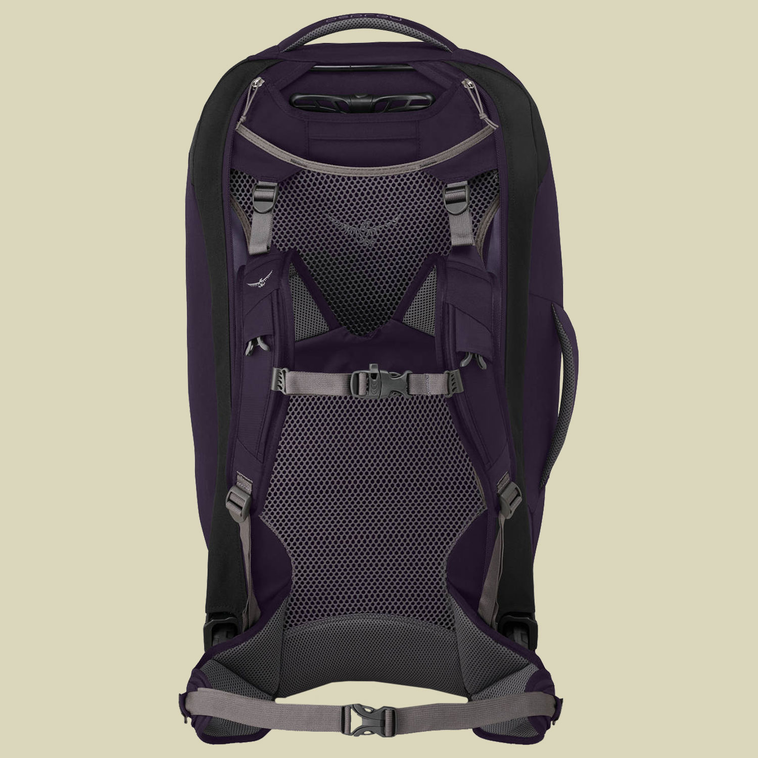 Fairview Wheels 65 Women