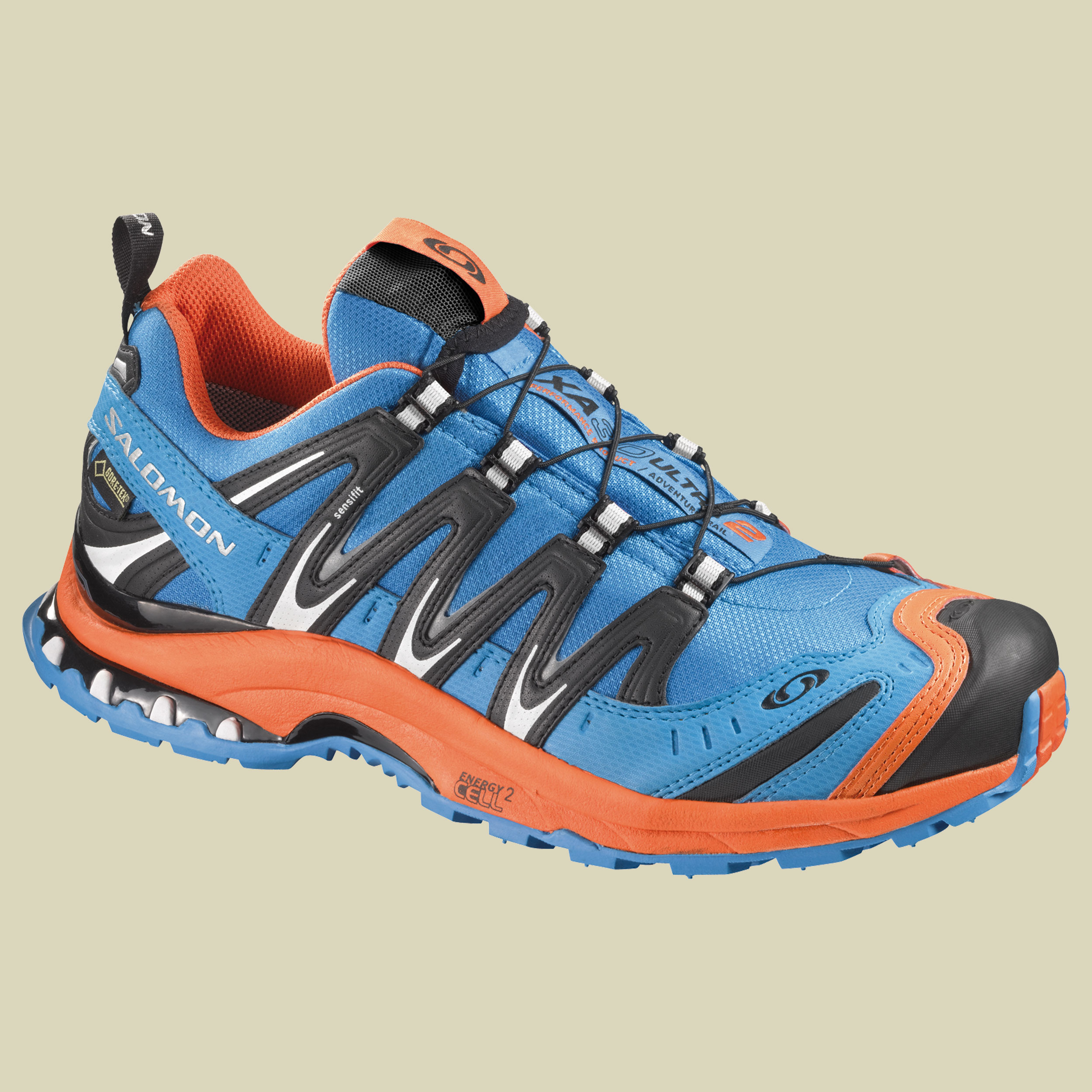 Teton GTX Men