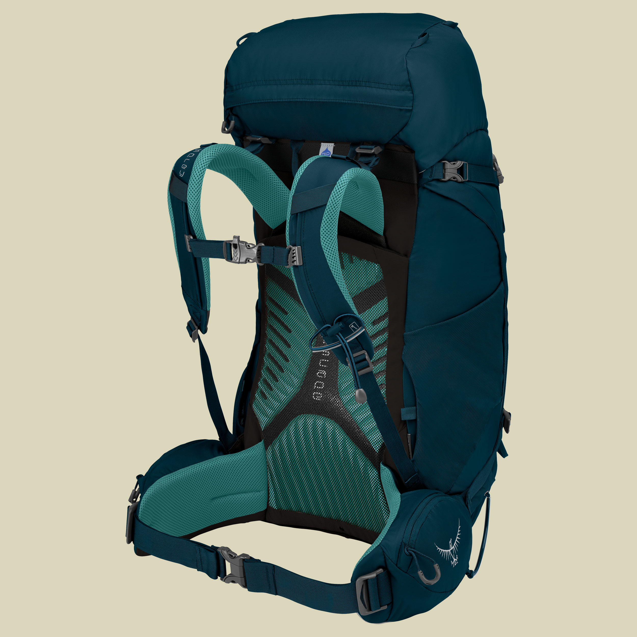 Sac osprey kyte 46 new arrivals