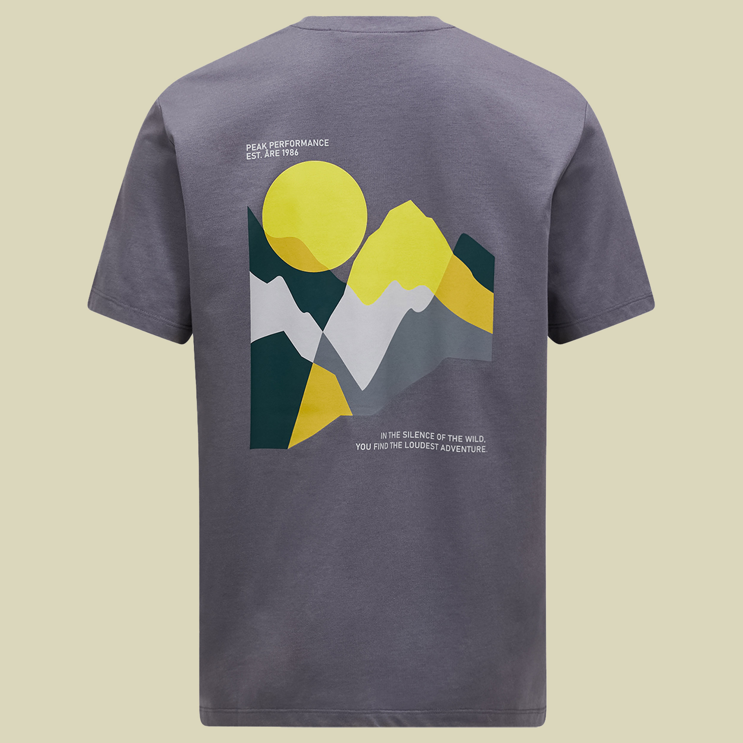 Explore Graphic Tee Men XL grau - quiet grey