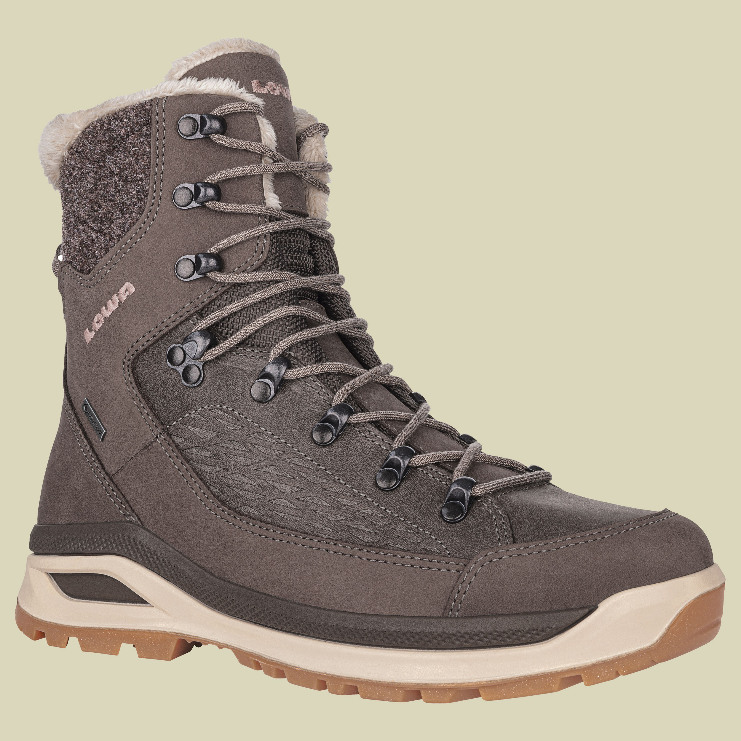 Renegade Evo Ice GTX Women UK 6 braun - stein/champagner
