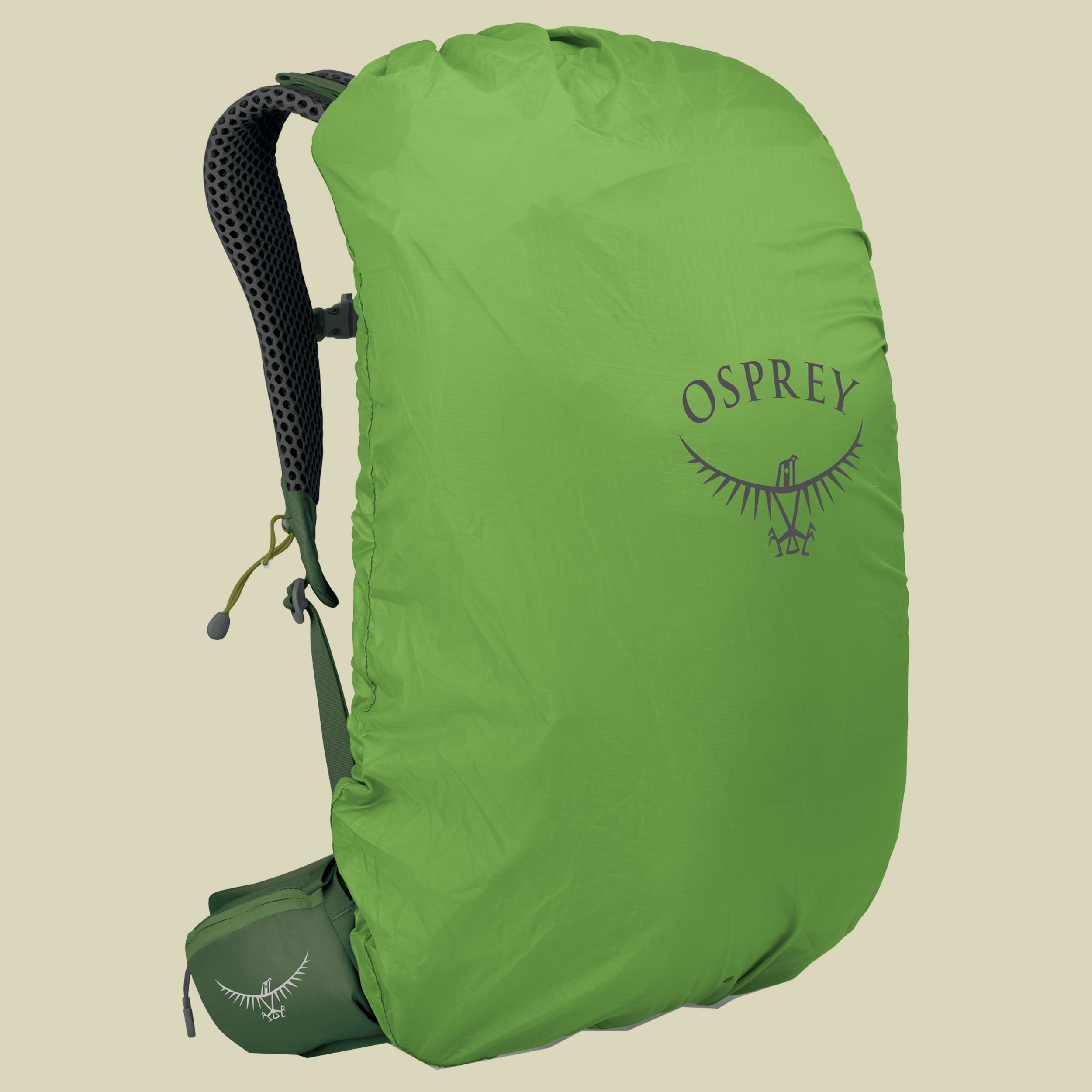 Stratos 24 Men grün 24  - Farbe seaweed-matcha green