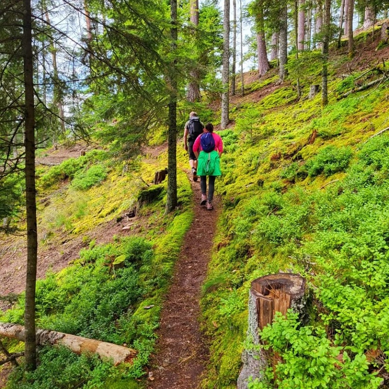 Gesundheitswanderung - Schramberger Wald