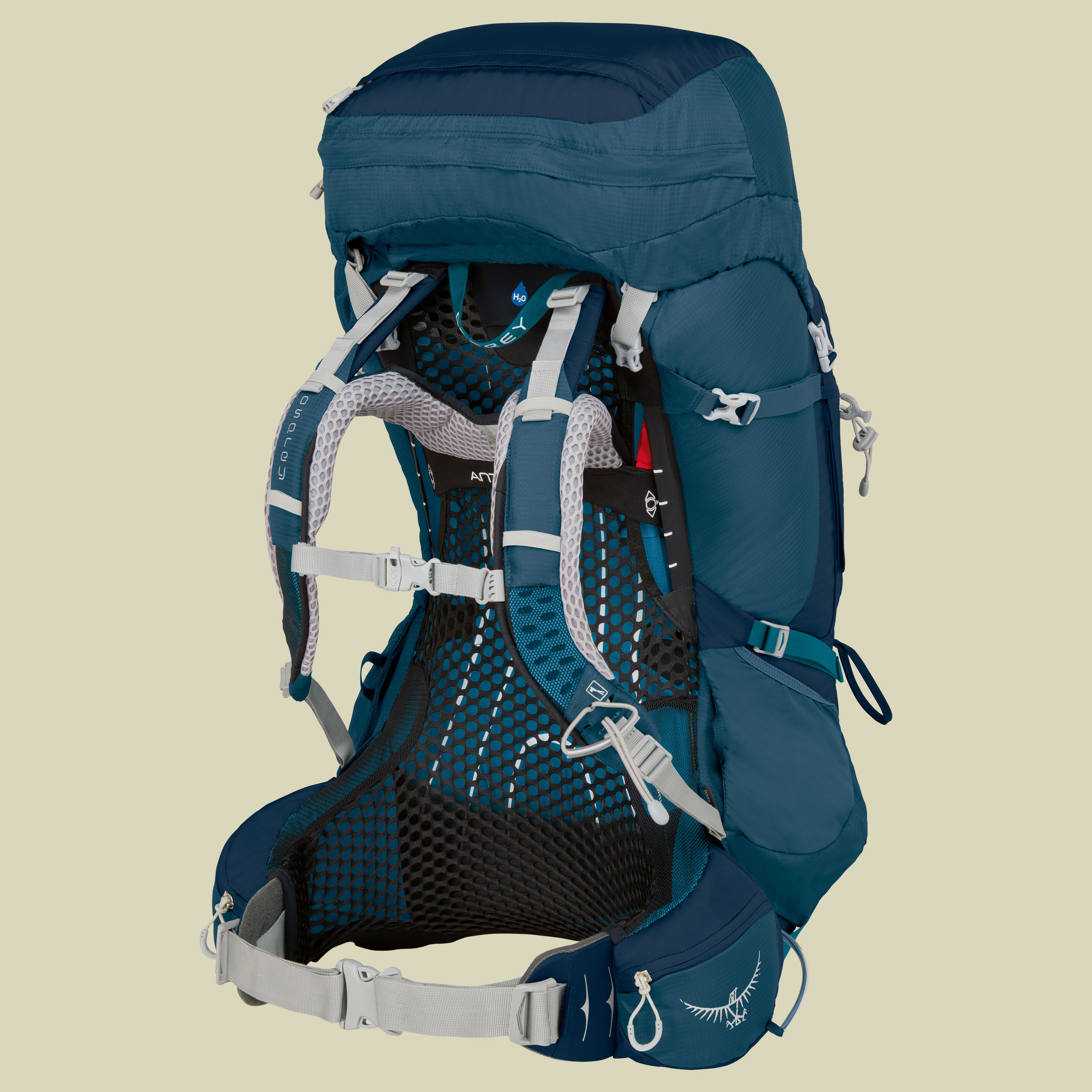 Aura AG 65 Women Volumen 65 (WM) Farbe challenger blue