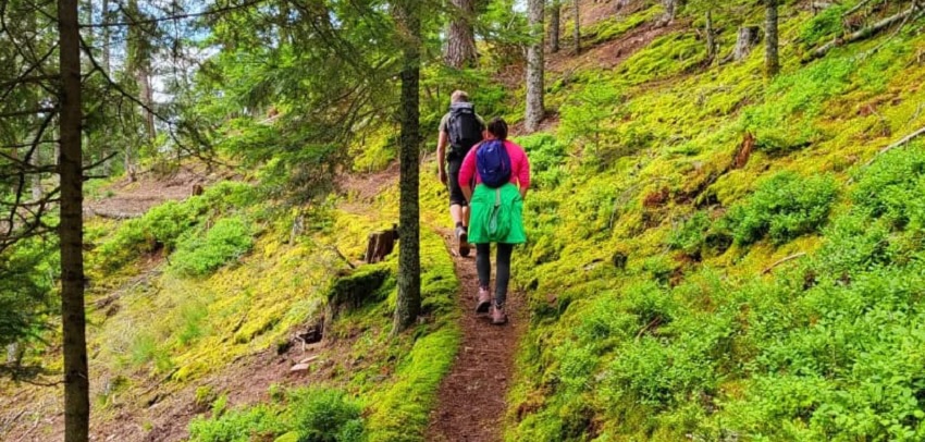 Outdoor Imagebild - zwei Personen auf einem Pfad in einem grünen Wald
