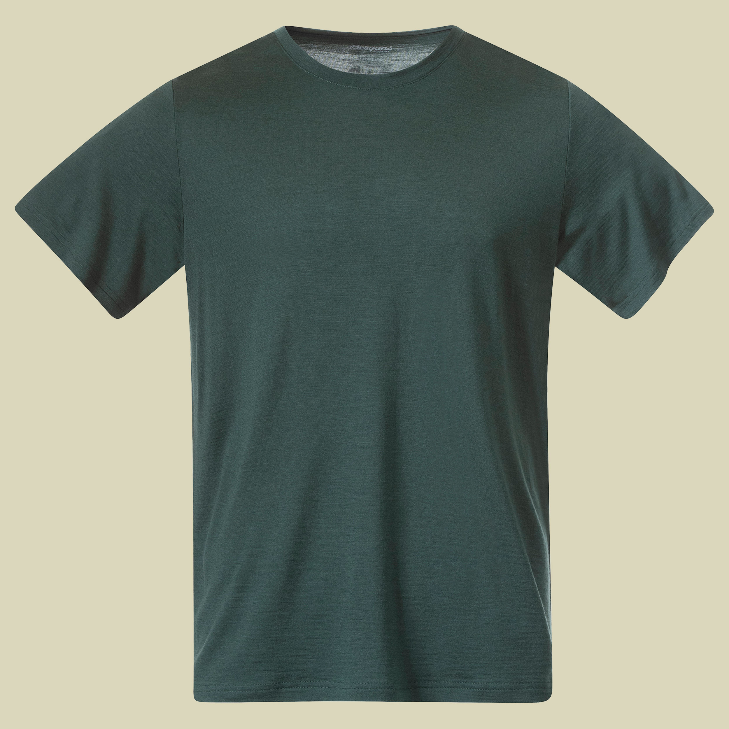 Mammut Eiger Extreme - Moench Light T-Shirt Men-Herren Funktions-T 