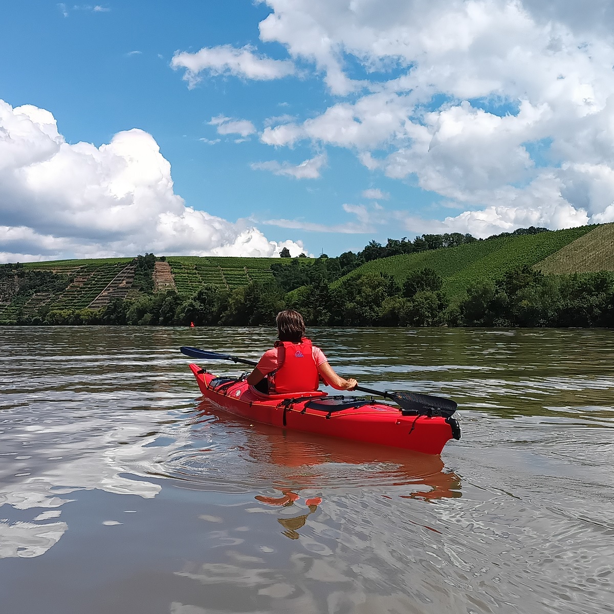 Schnupperpaddeln Tourenkajak - Lauffen am Neckar