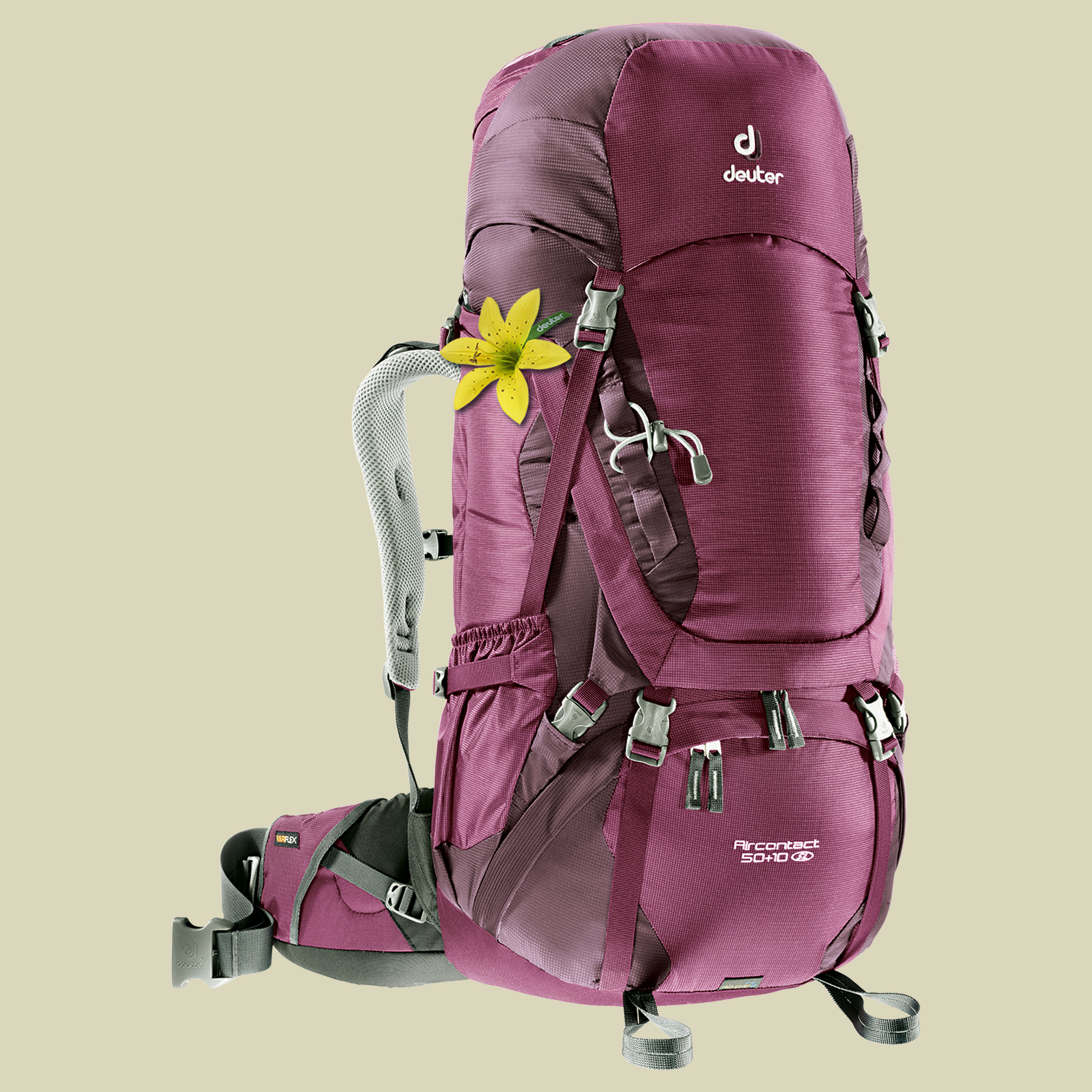 Aircontact 50 + 10 SL Women Volumen 50 L + 10 L Farbe blackberry-aubergine