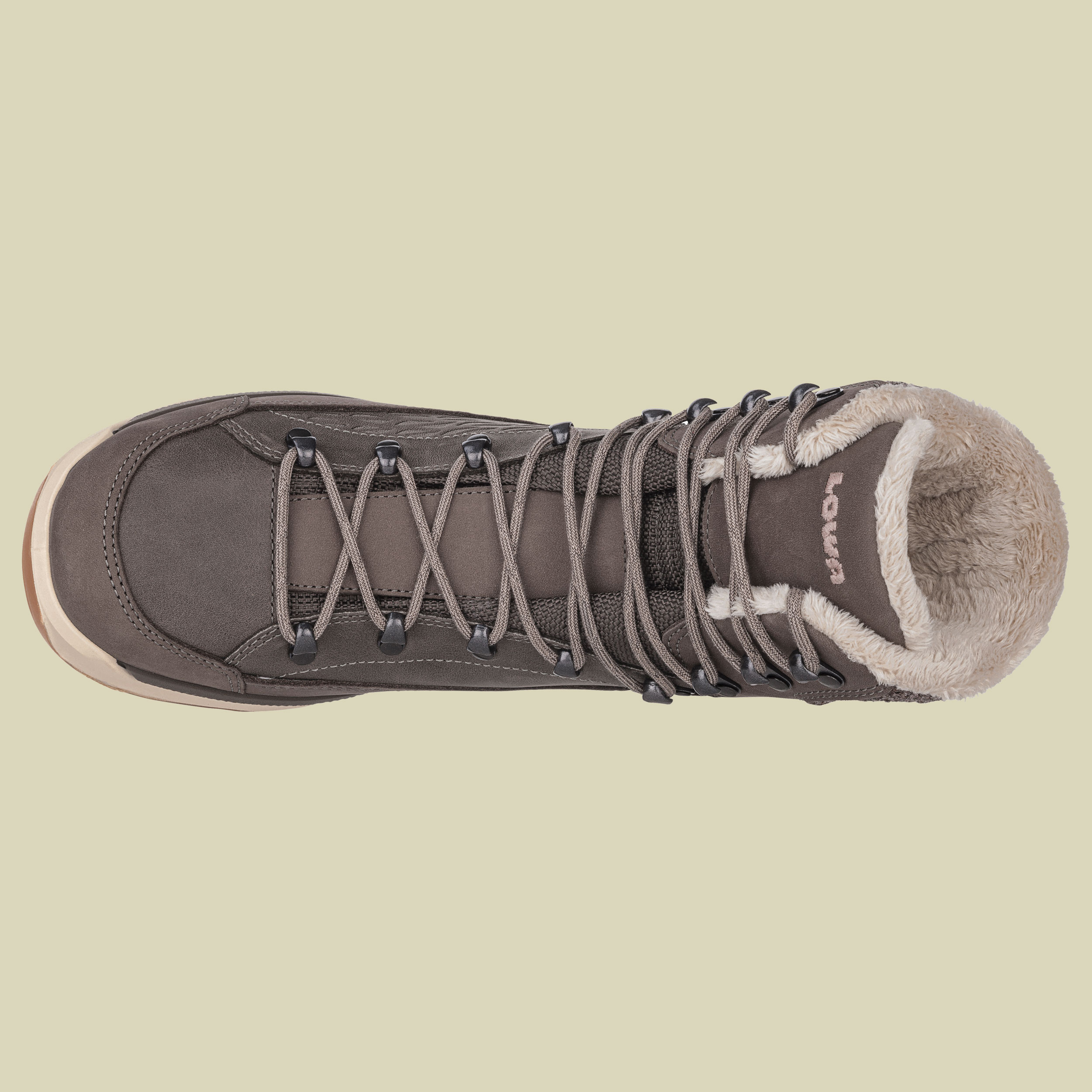 Renegade Evo Ice GTX Women UK 6 braun - stein/champagner