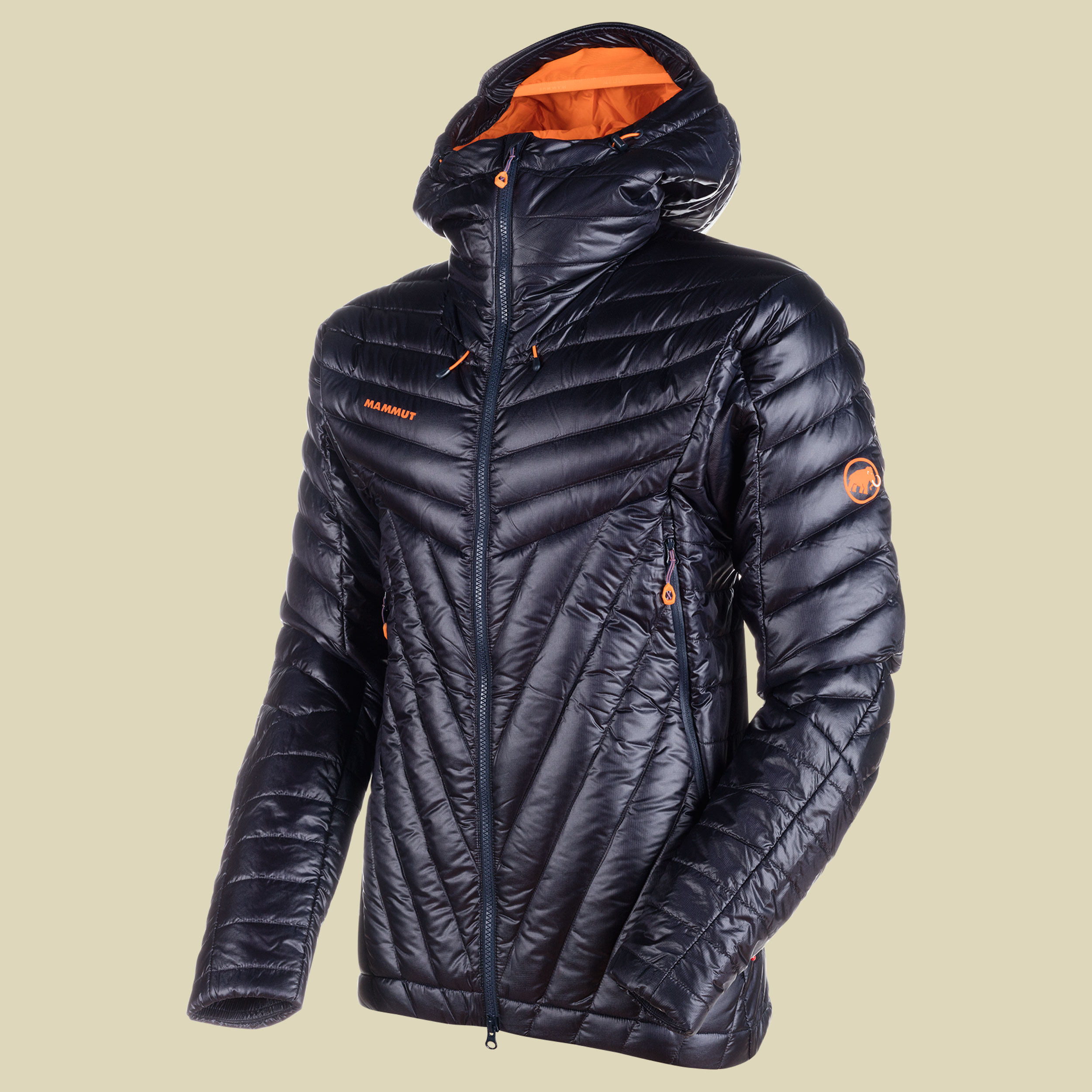 Mammut Eiger Extreme Eigerjoch Advanced IN Hooded Jacket Men